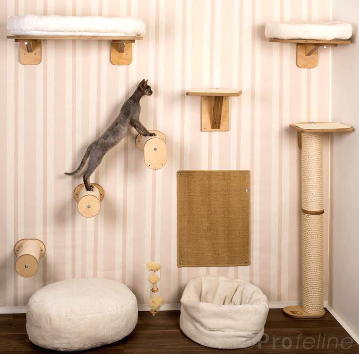 A wall-mounted cat tree.