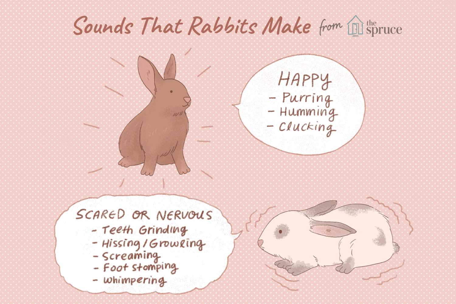 illustration of sounds that rabbits make