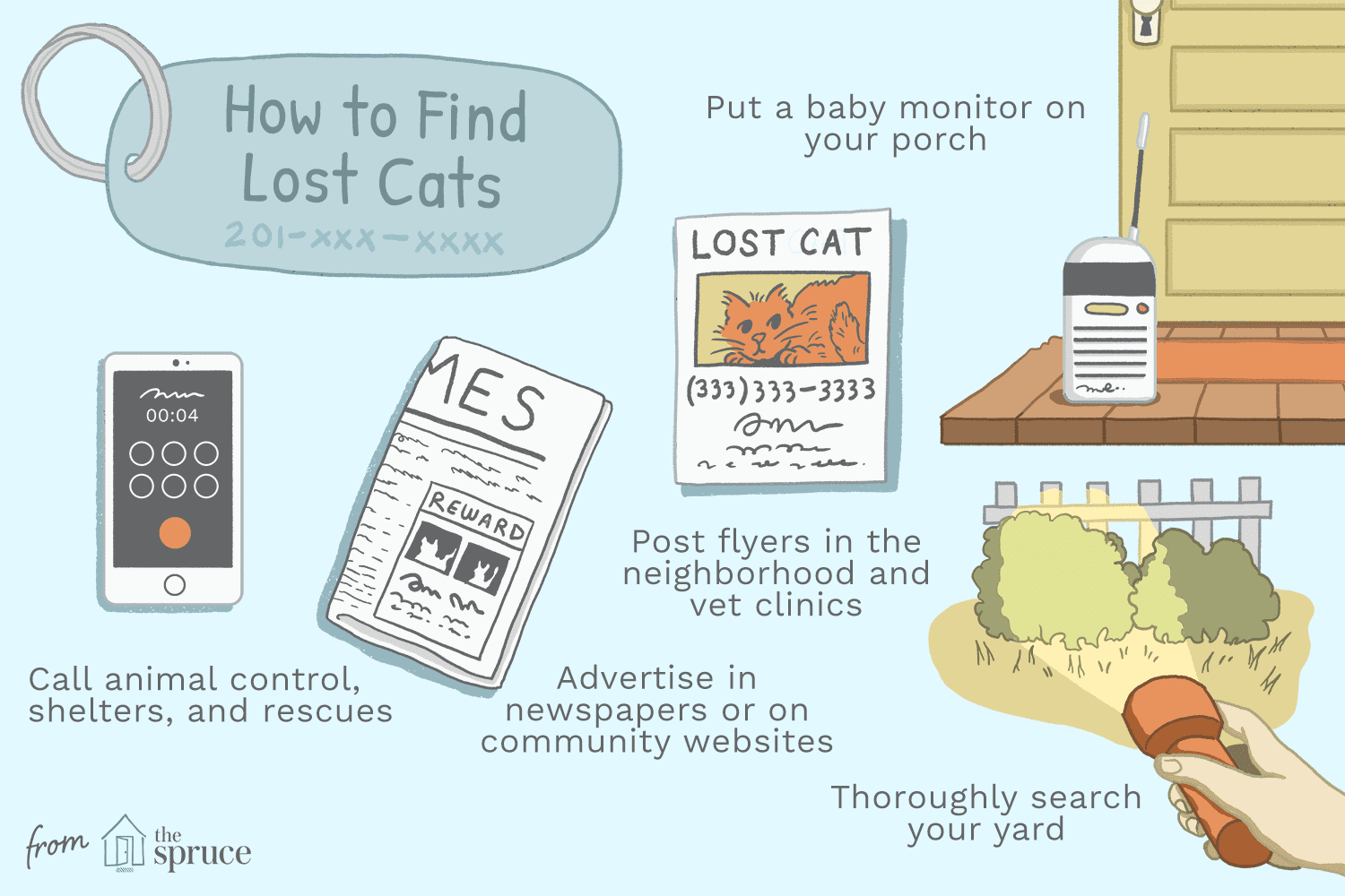 how to find cats illustration