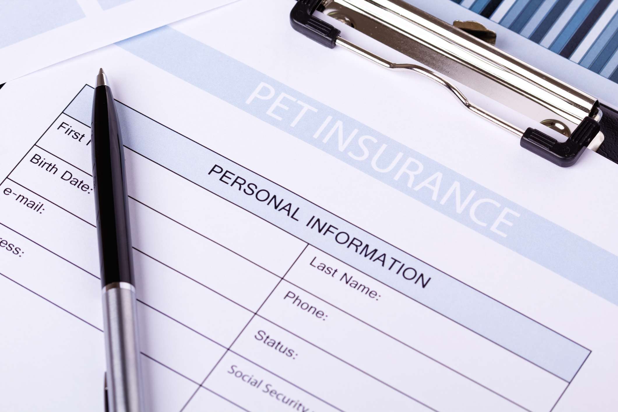 Pet Insurance Application