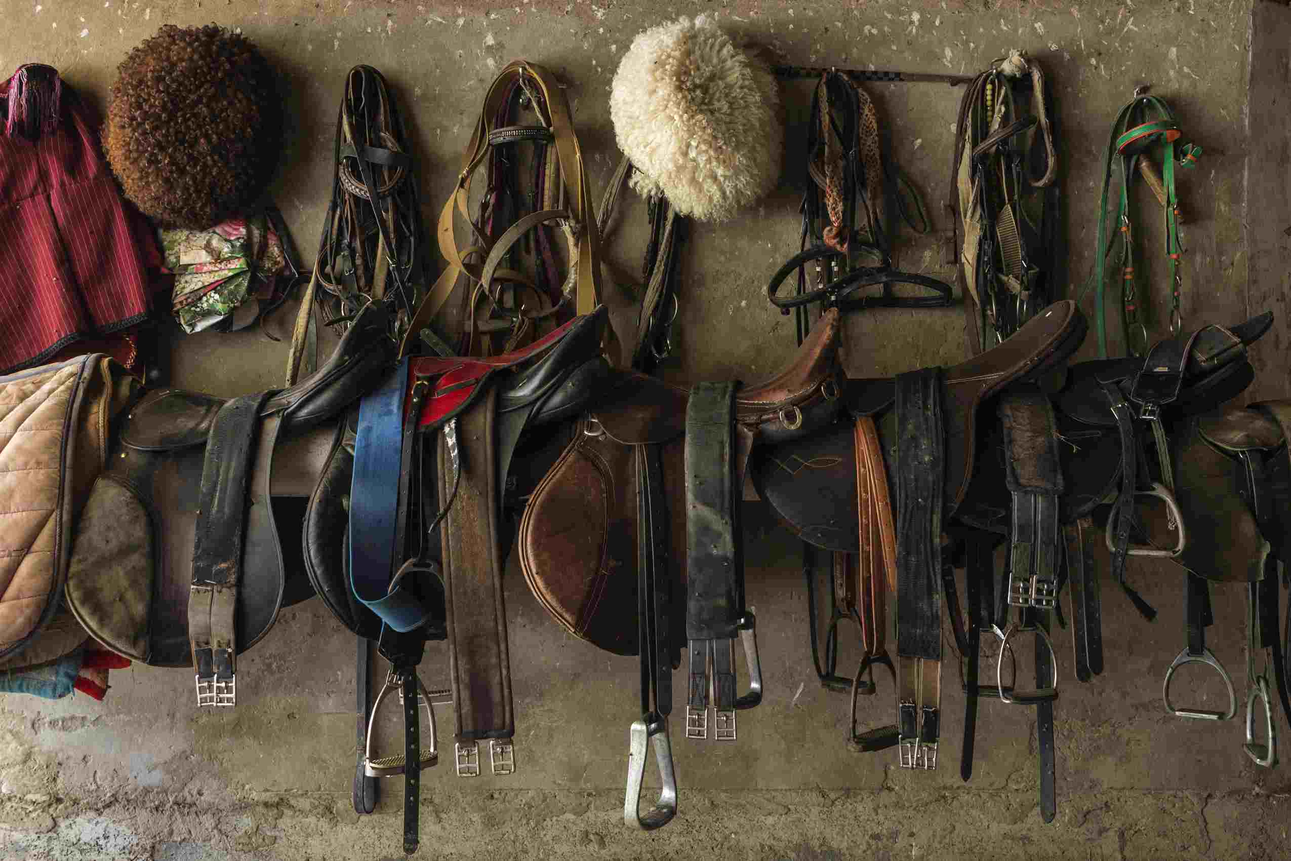 Equestrian gear hanging up on a wall.