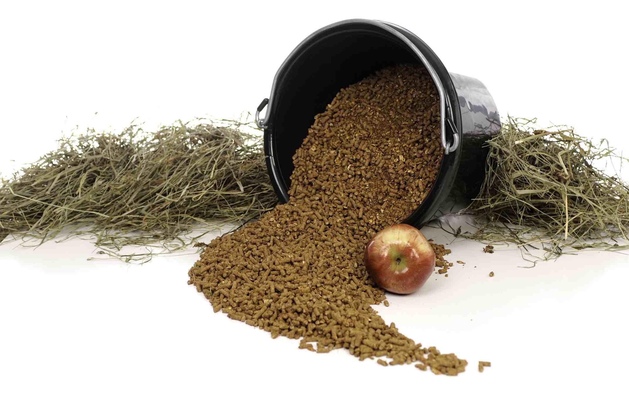 Grain spilling out of a black bucket near a pile of hay and one apple.