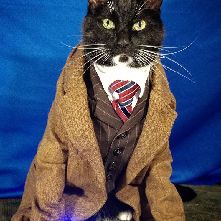 cat_cosplay/Instagram