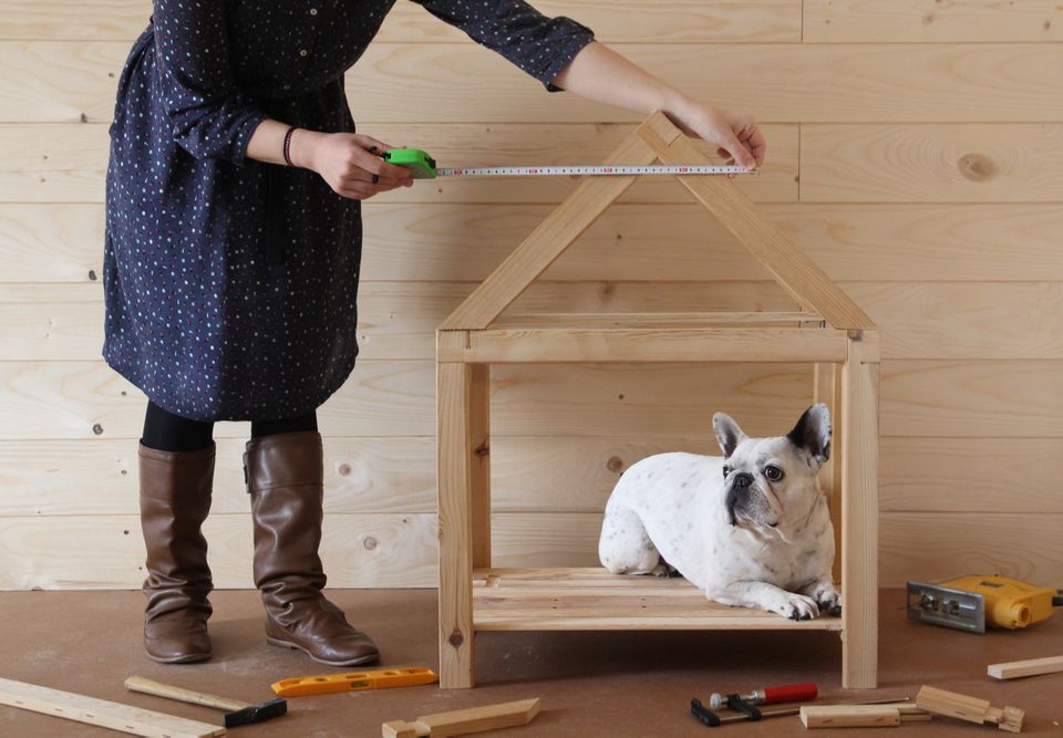 Building a dog house