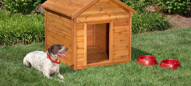 A dog sitting outside by his dog house.