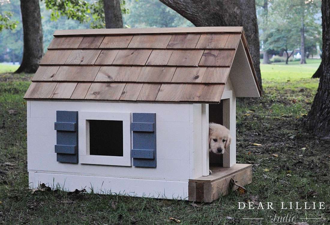 A dog house with a dog peeking out