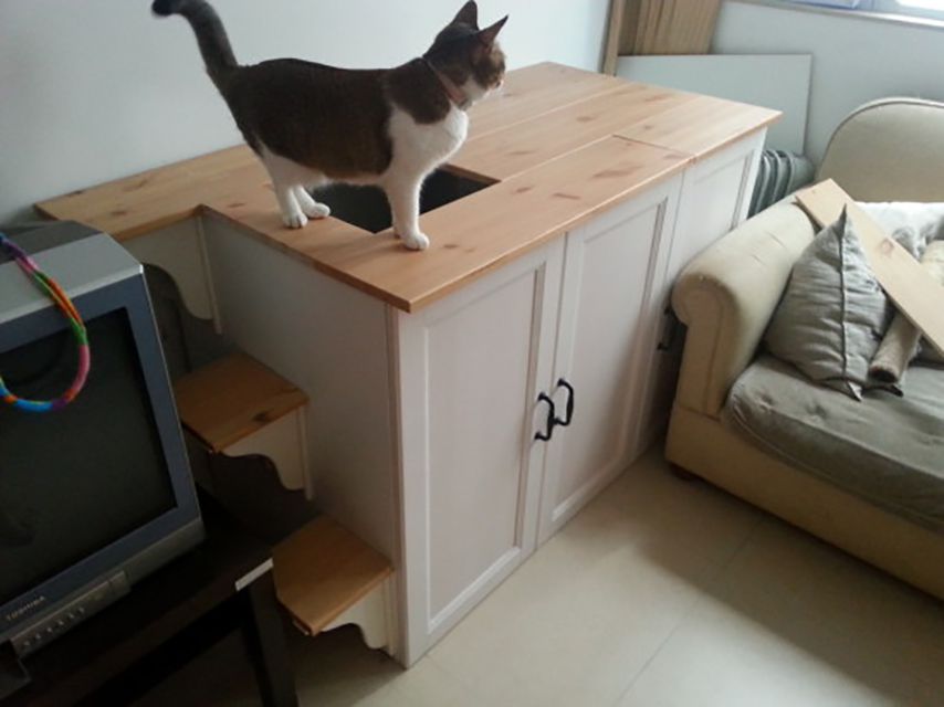 top-opening cabinet litter box