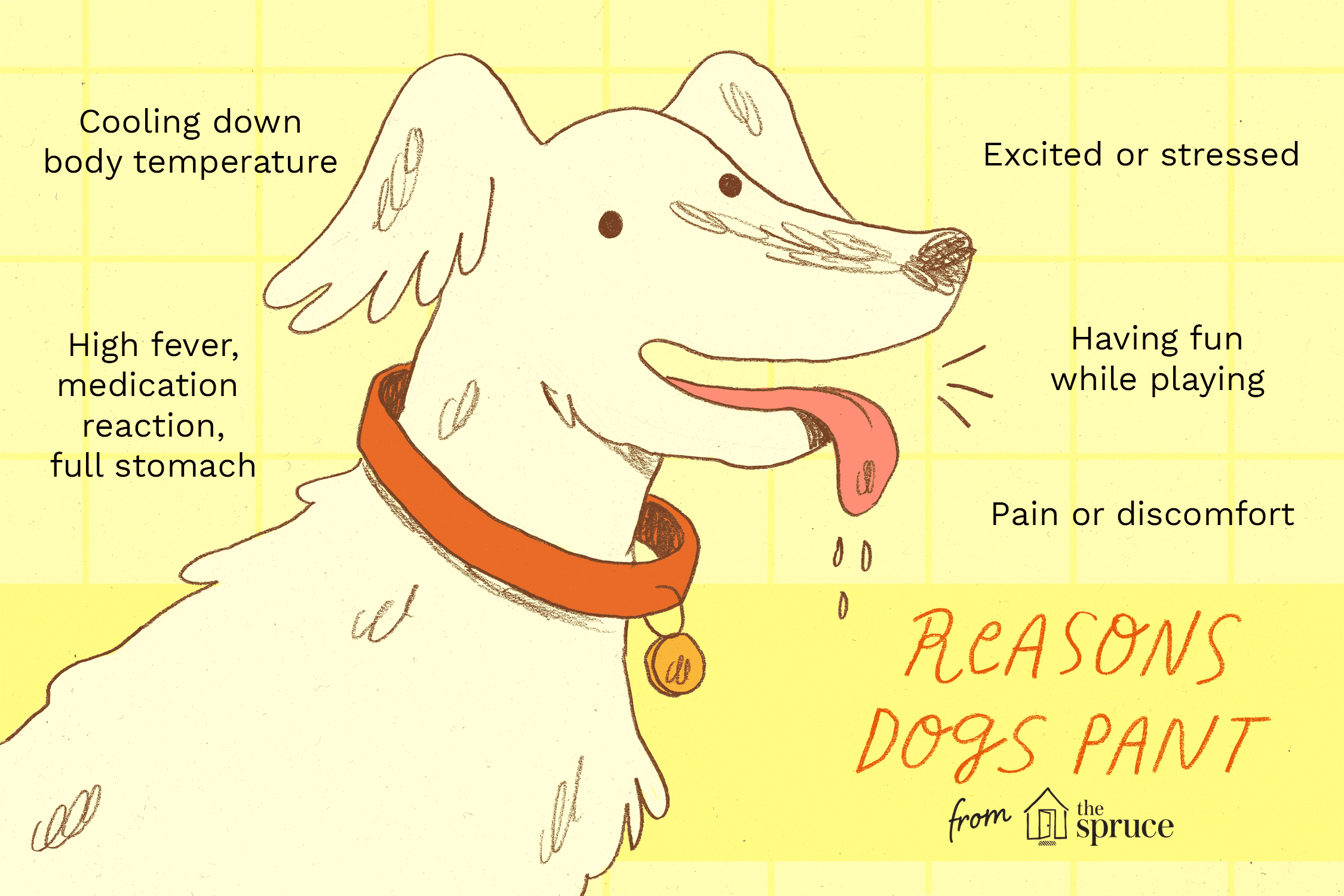 illustration of reasons why dogs pant