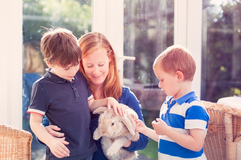 Mother and sons petting a rabbit