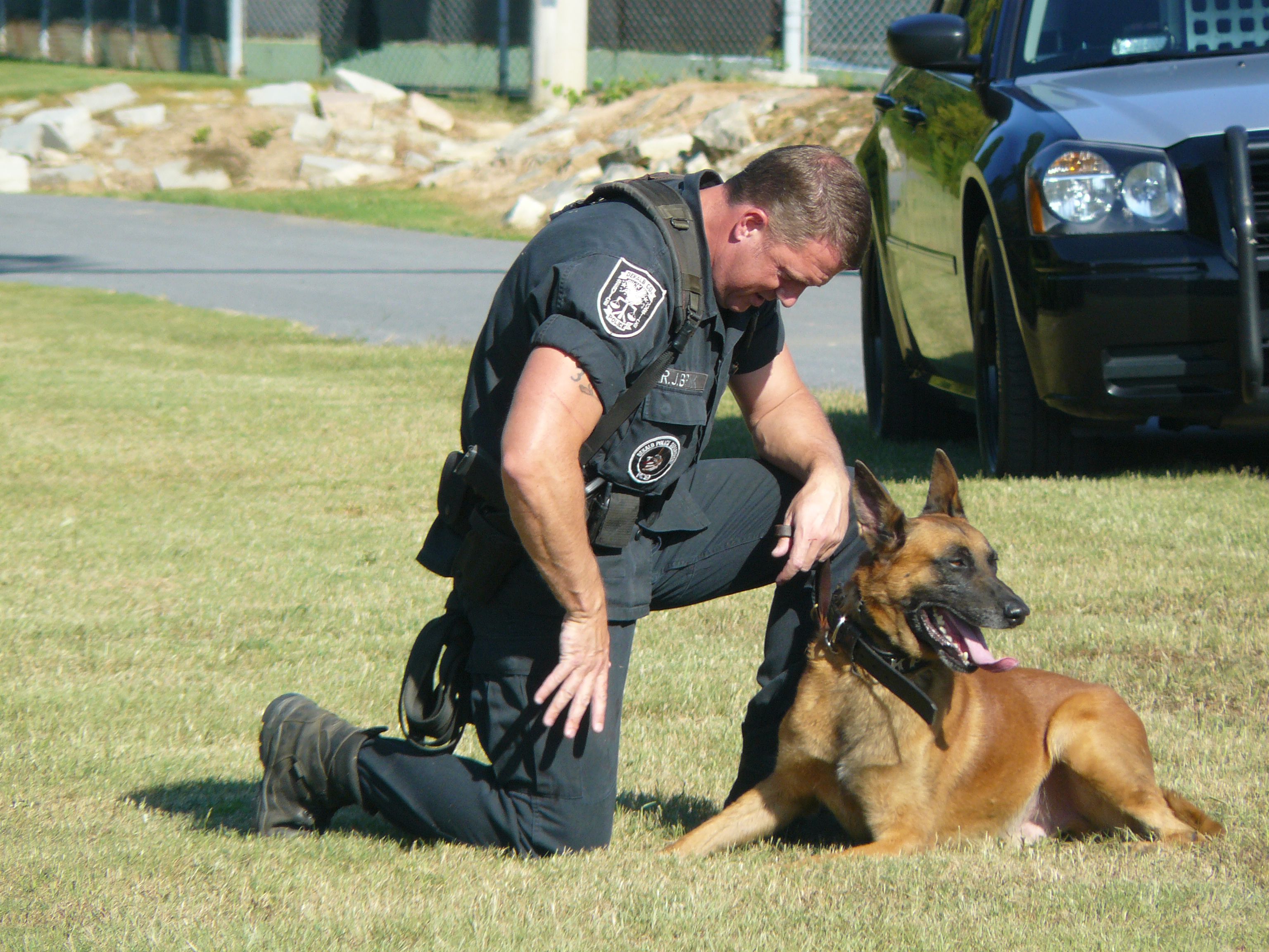 Police dog with officer