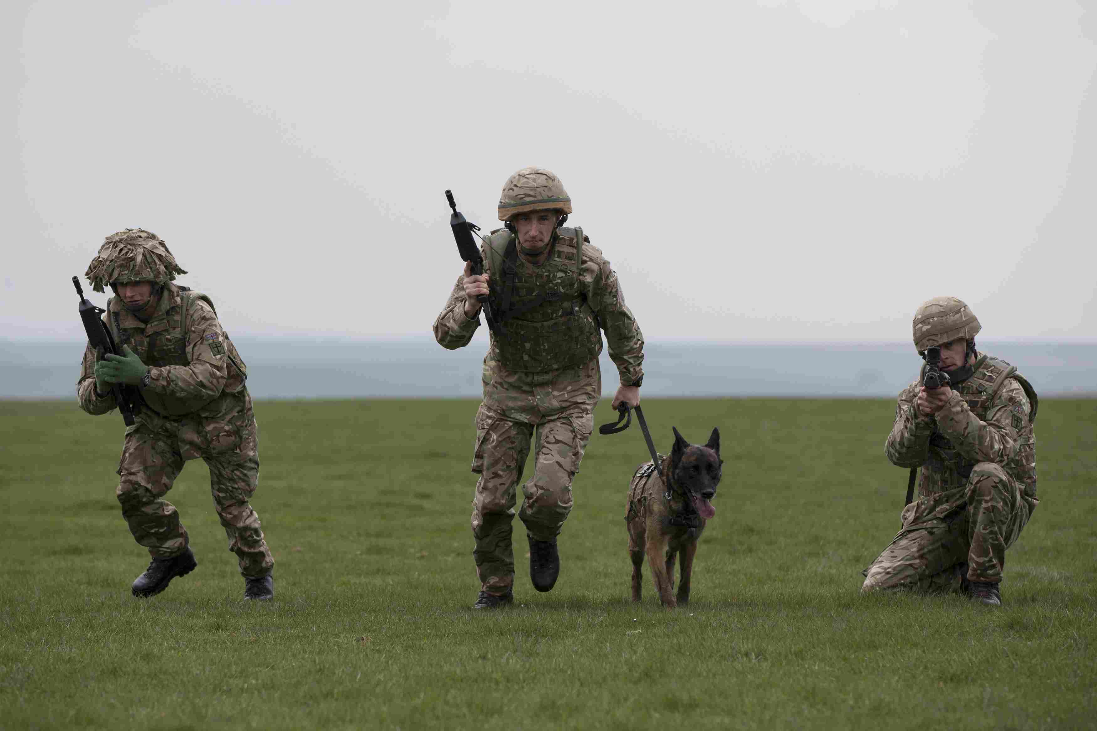 Soldiers with military dog