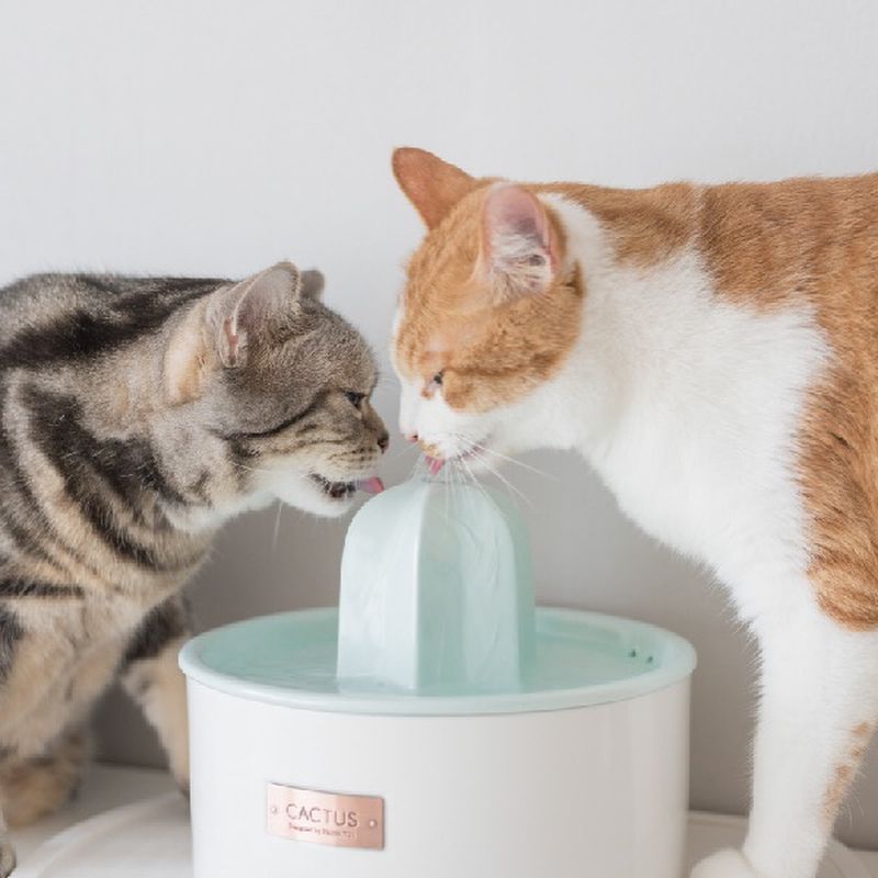 Two cats drinking from a water fountain.