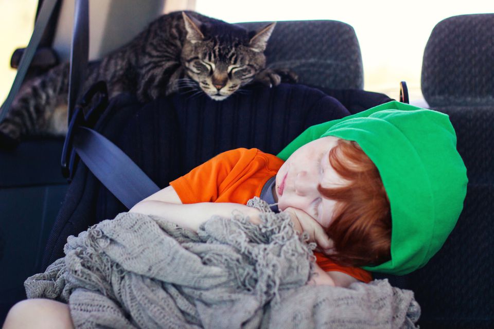 A cat and a child sleeping in a car