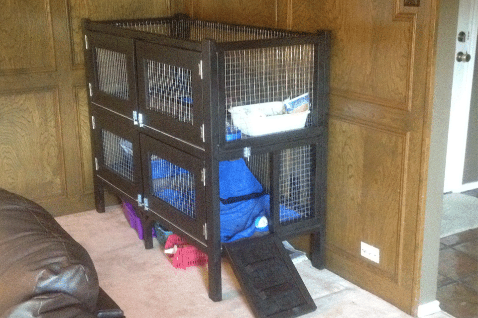 Completed two-story rabbit hutch placed inside.