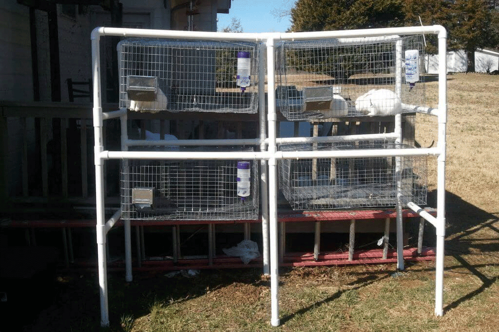 Rabbit hutch made of PVC pipe and placed outside.