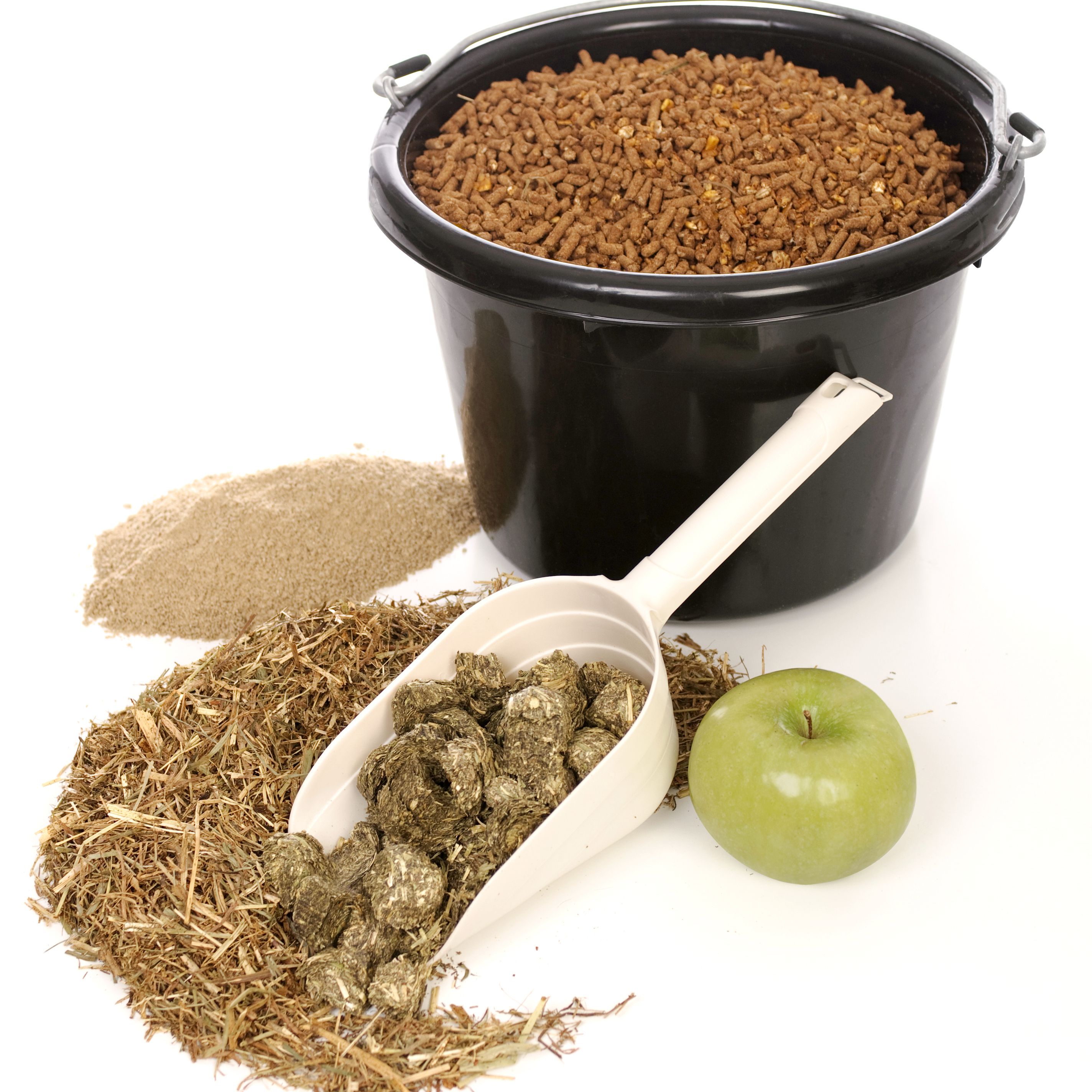 Various types of horse feeds and supplements
