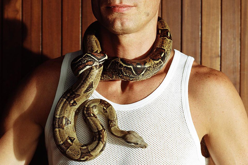 A boa constrictor wrapped around a man's neck