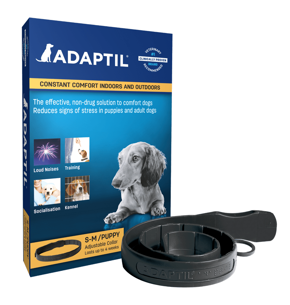 Adaptil collar for dogs