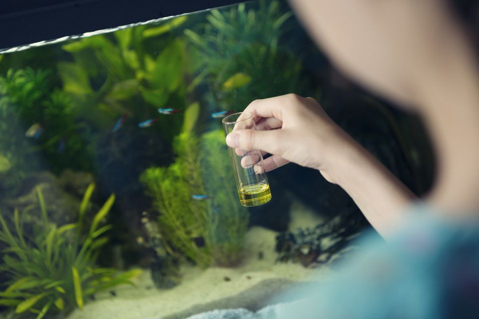 Girl using a chemical test kit to measure the quality of water in a home aquarium