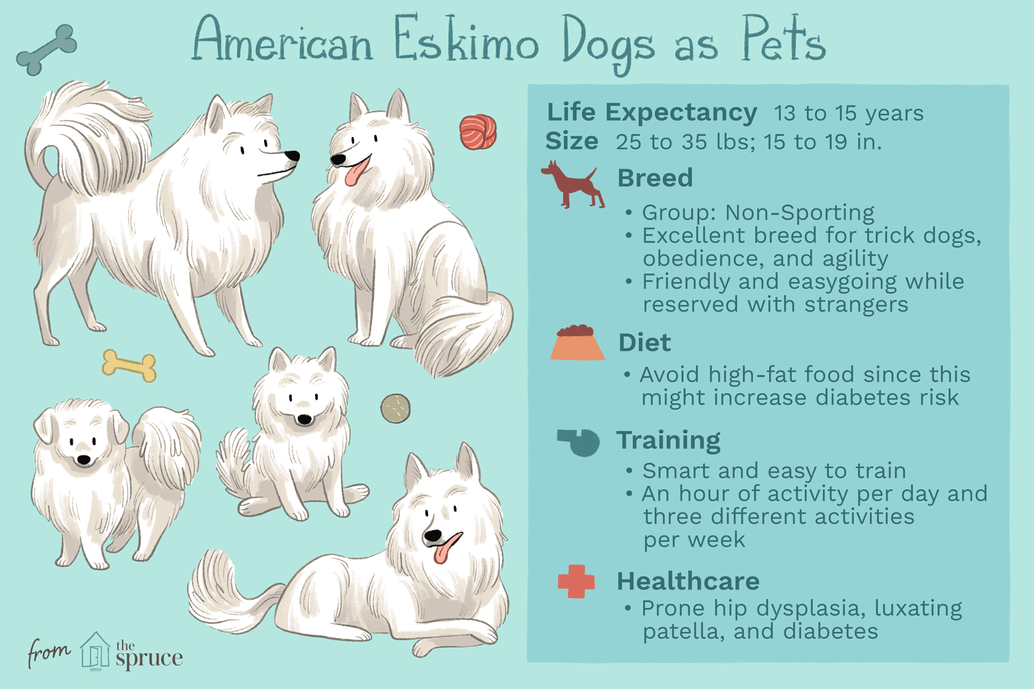 american eskimo dogs as pets