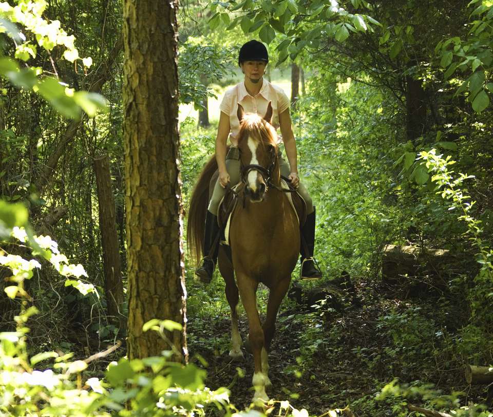 Woman riding in the woods