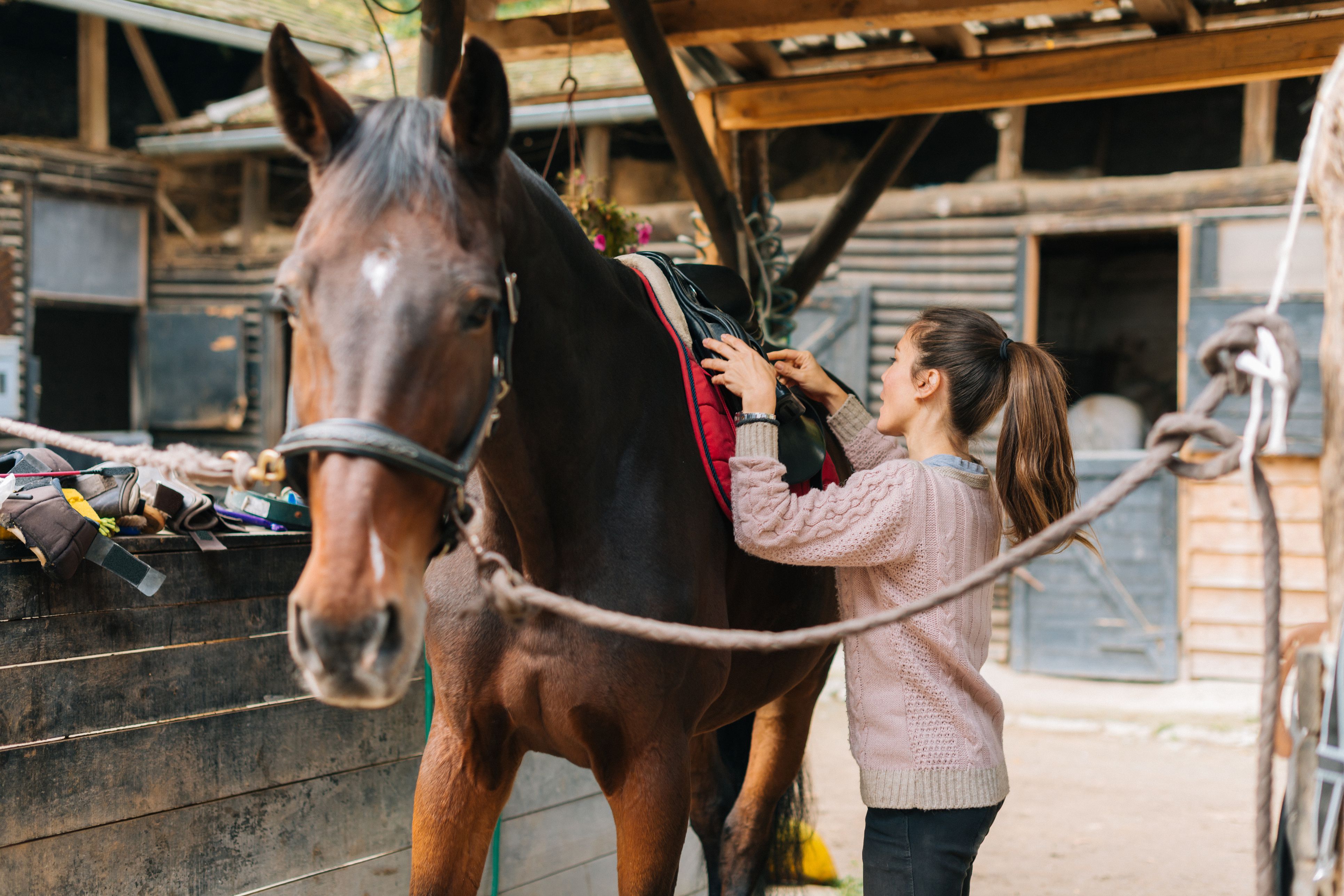 Rider putting saddle on her horse before dressage training