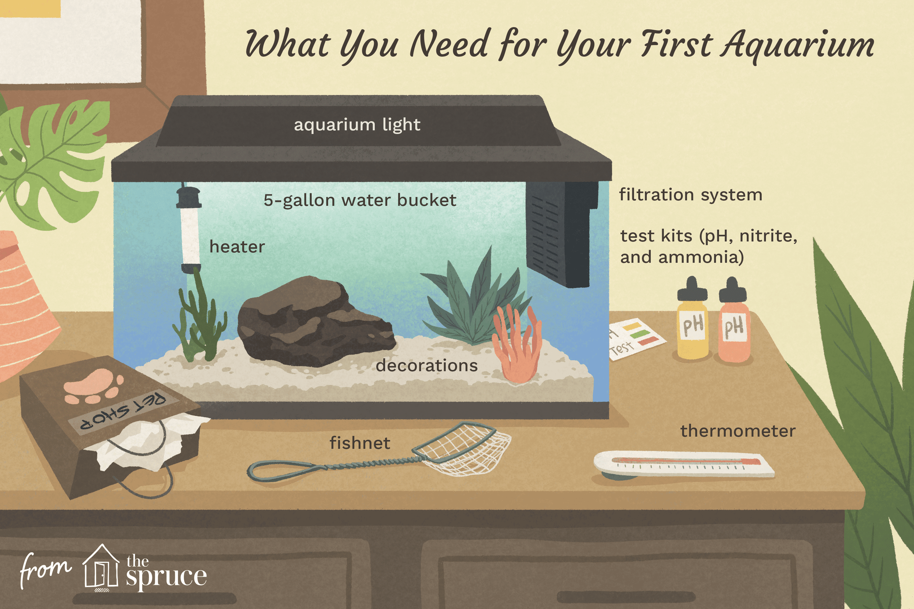 what you need for your first aquarium illustration