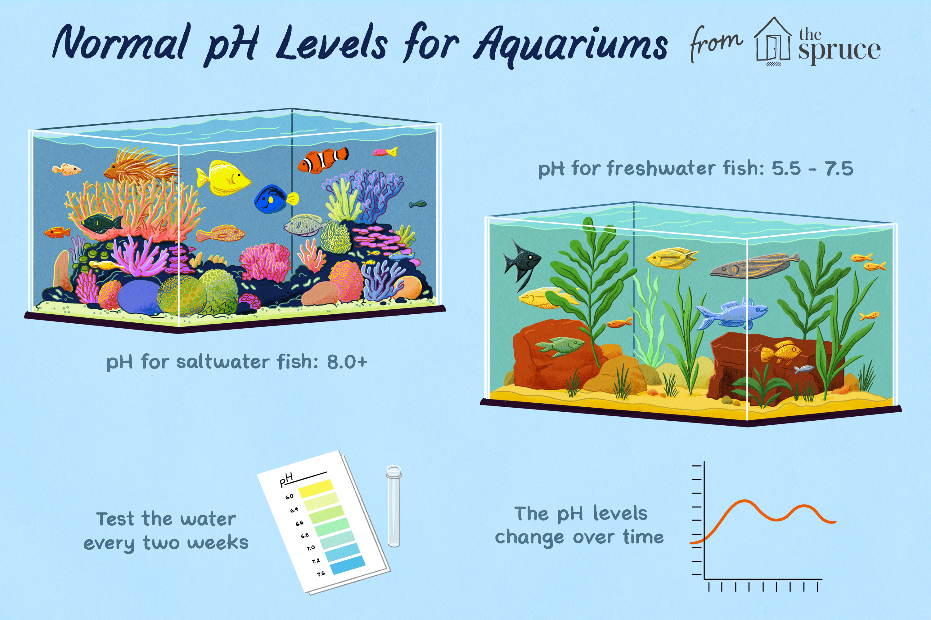 normal ph levels for aquariums illustration