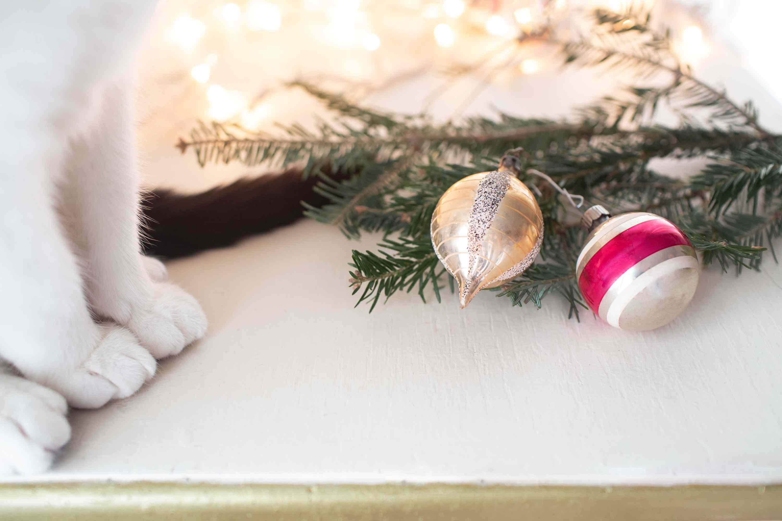Cat near Christmas ornaments