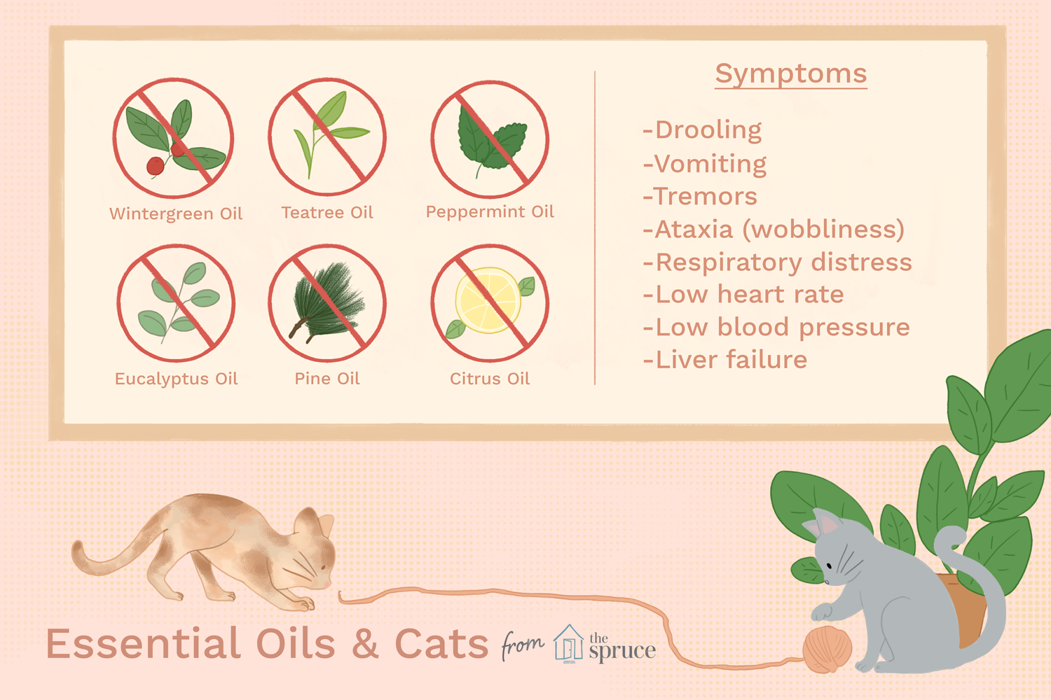 essential oils dangerous to cats