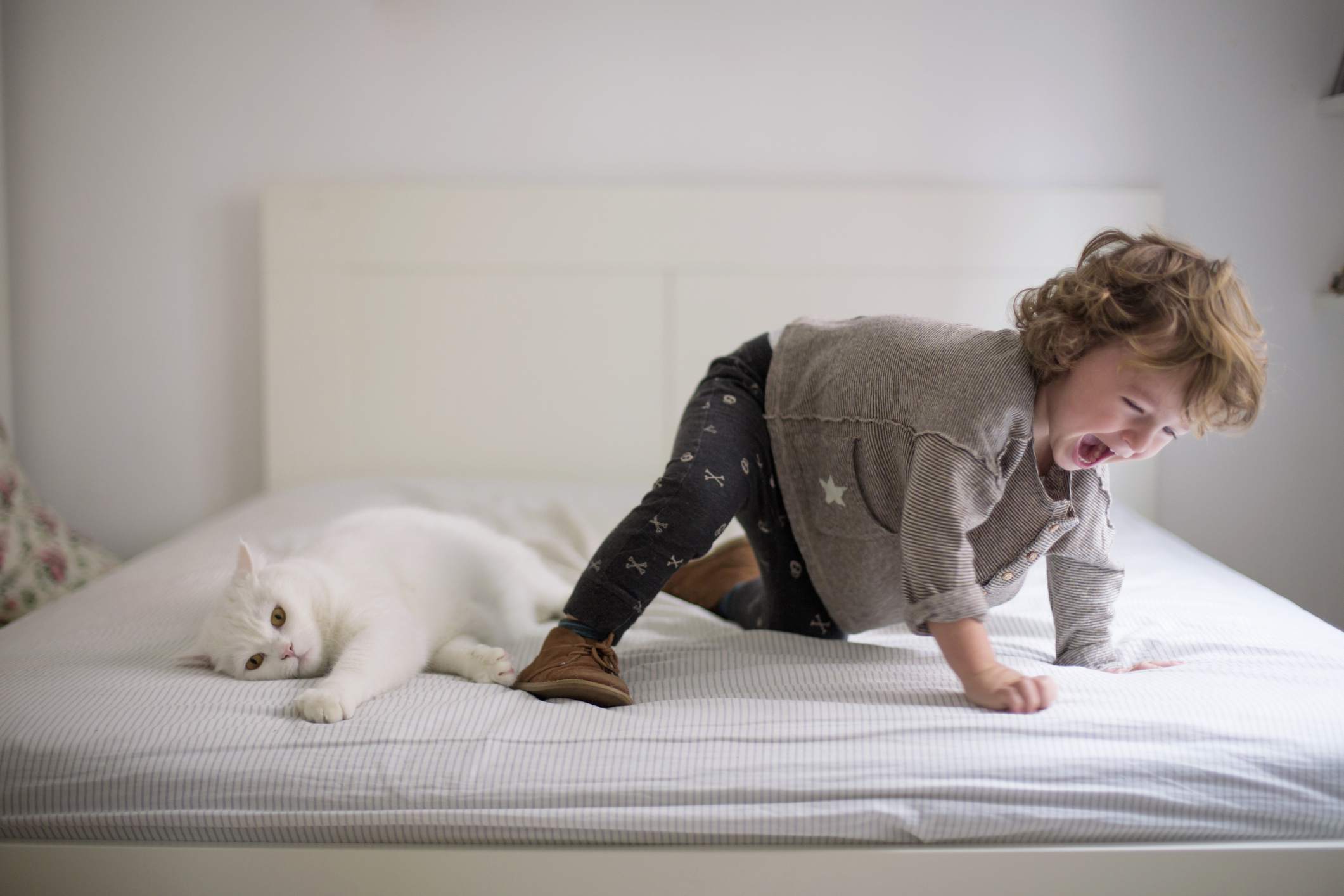 Cat not playing with toddler on parents' bed