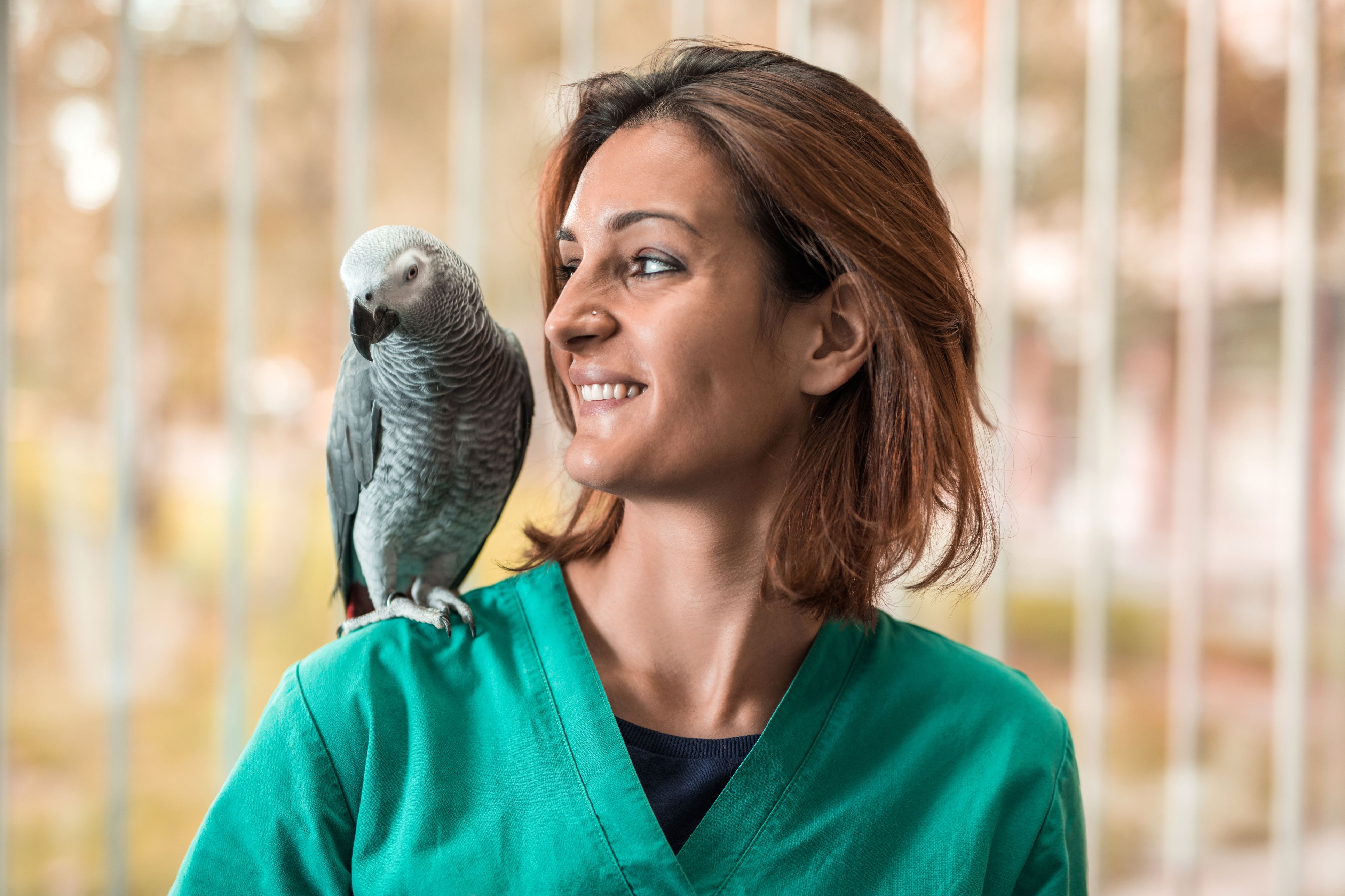 Happy Veterinarian with a parrot on her shoulder