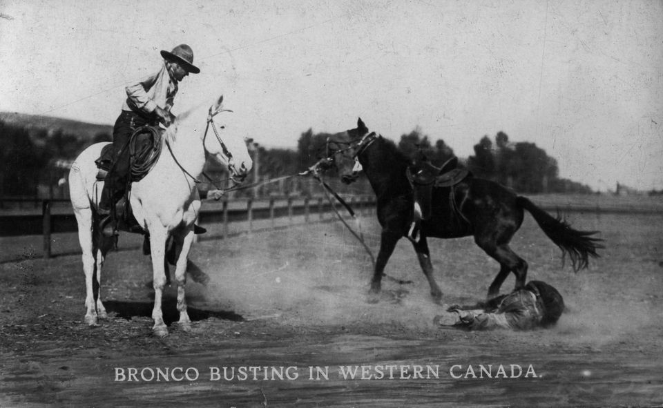 Old West horse breaking