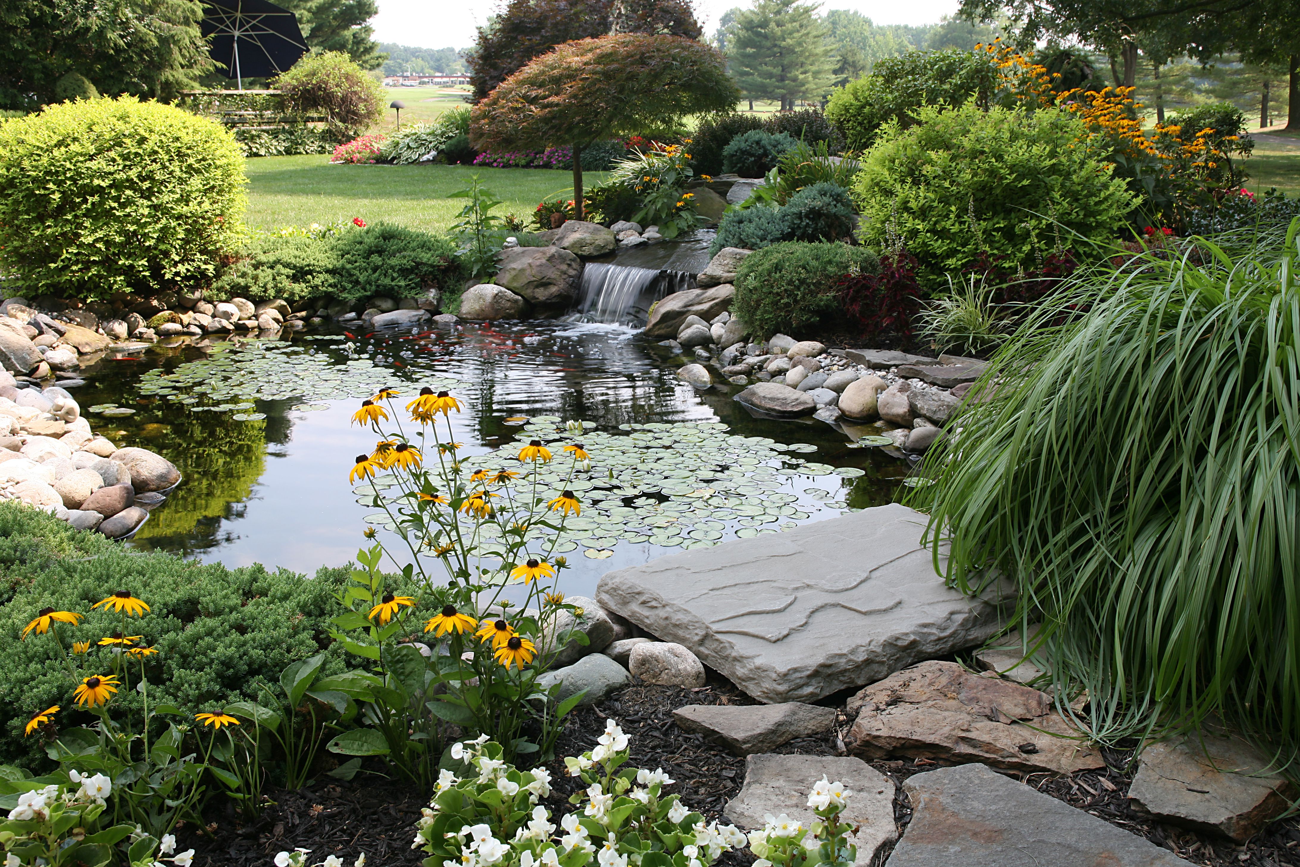 a backyard full of flowers, a pond, and waterfall