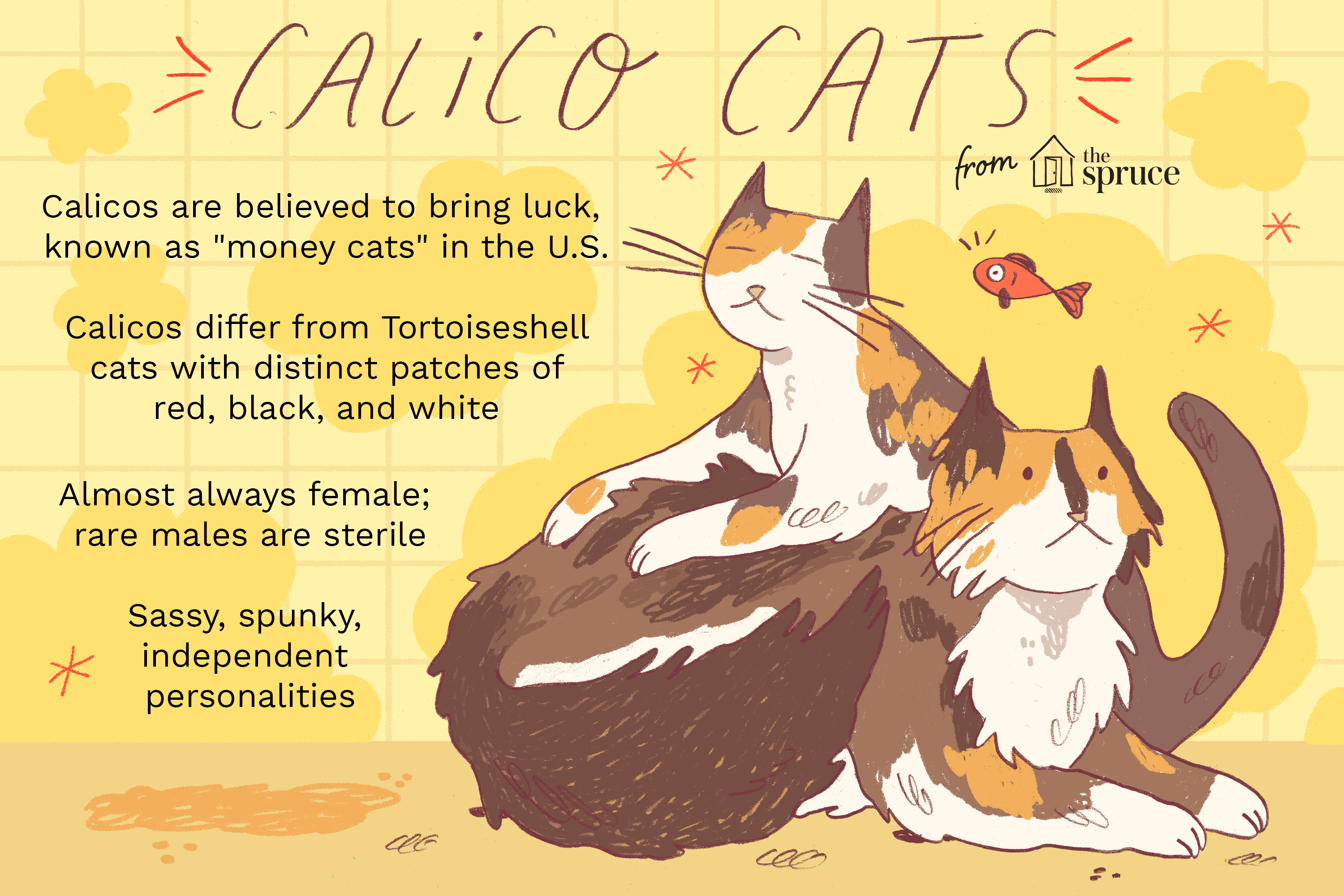 illustration of calico cats profile