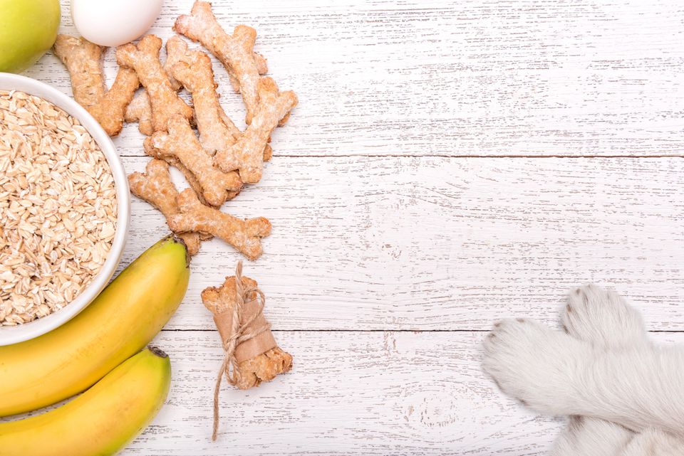 Oats, bananas, and oat dog treats on table next to white paws.