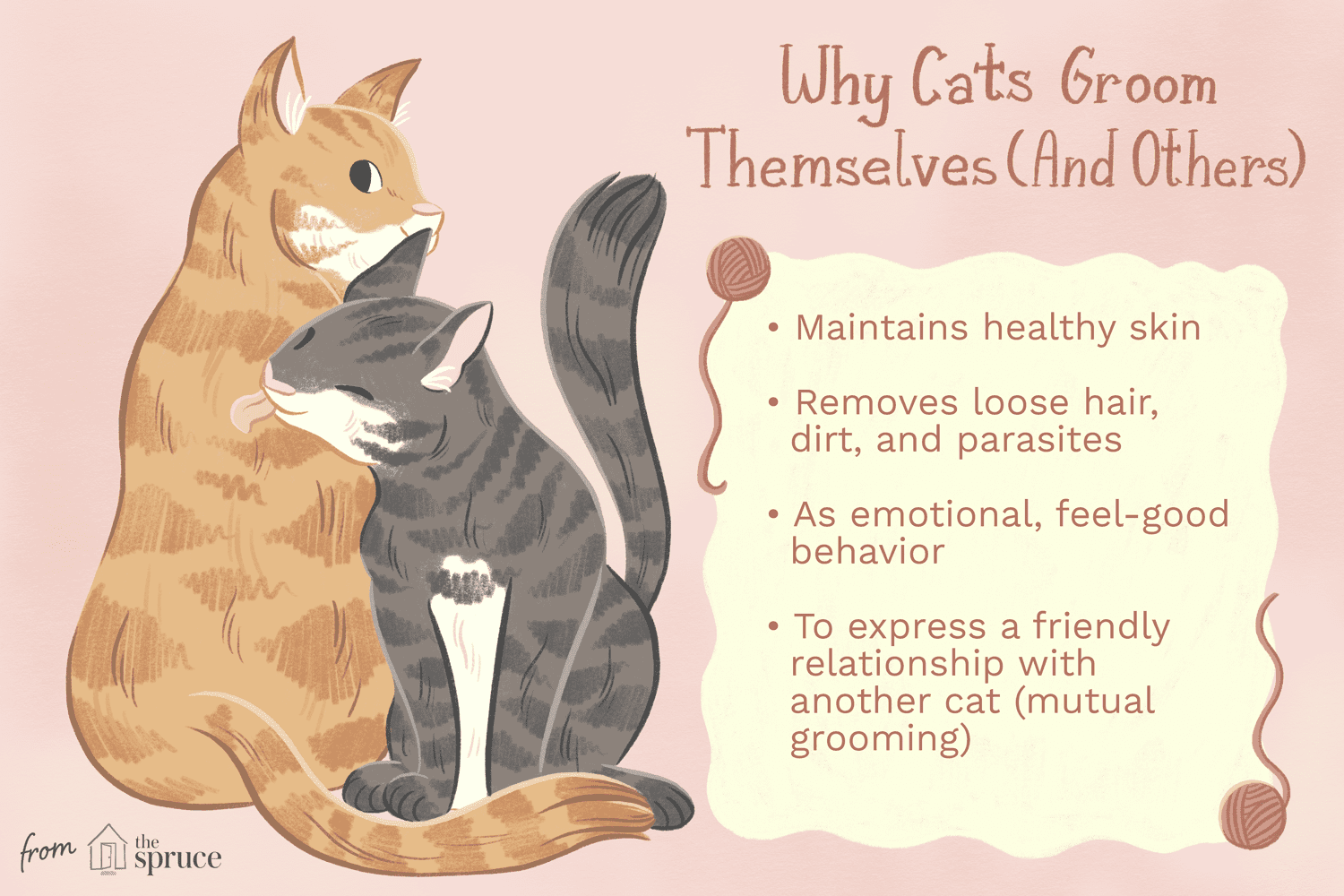 why cats groom themselves