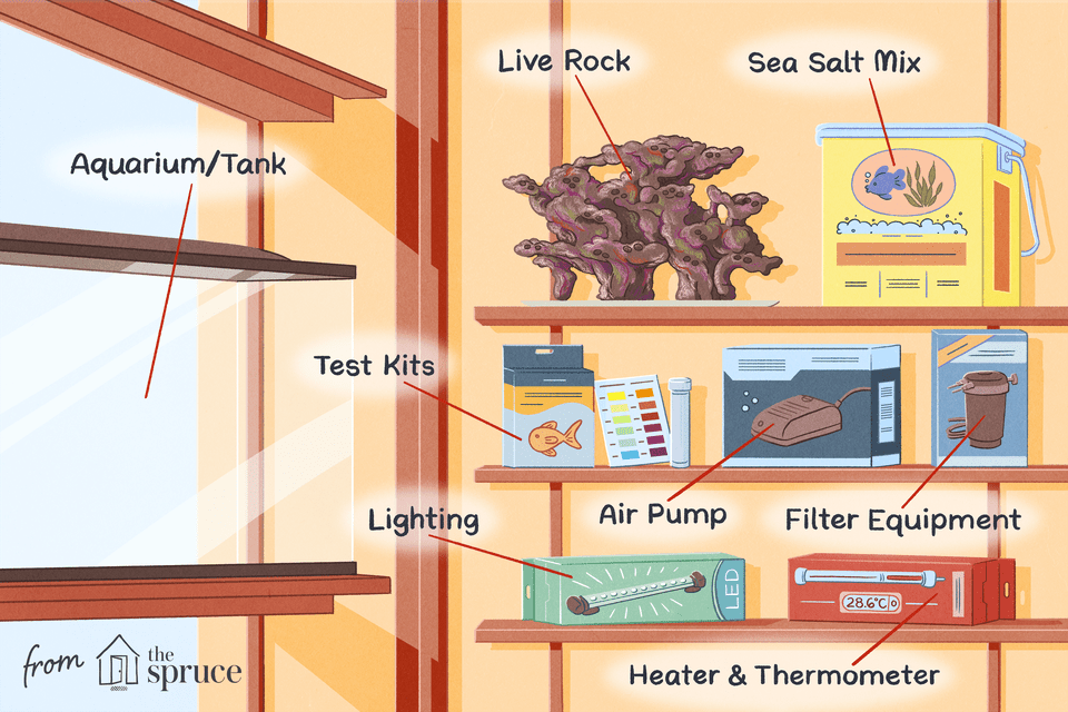 checklist for saltwater aquarium at home illustration