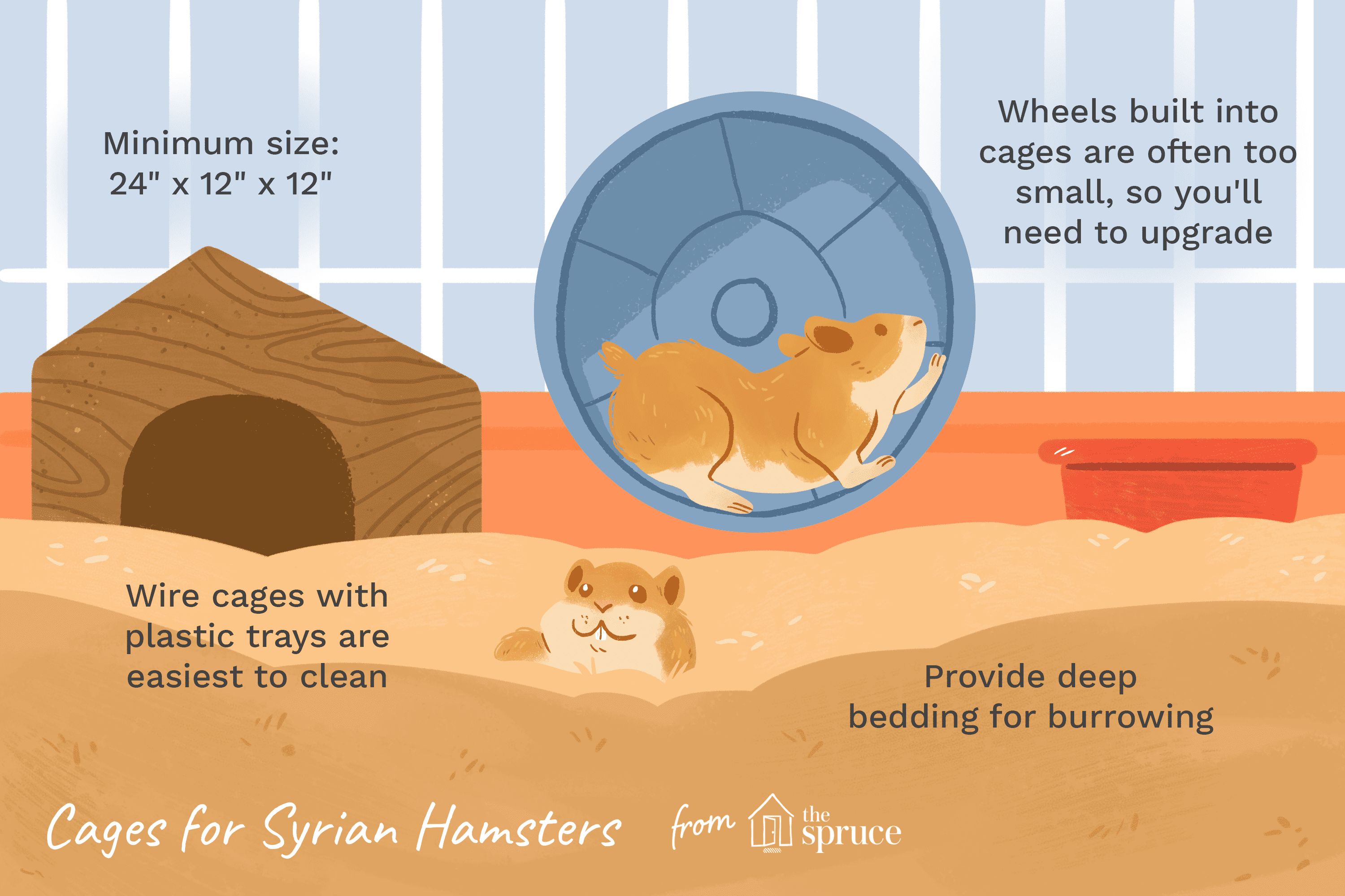 An illustration of the best attributes of a cage for Syrian hamsters