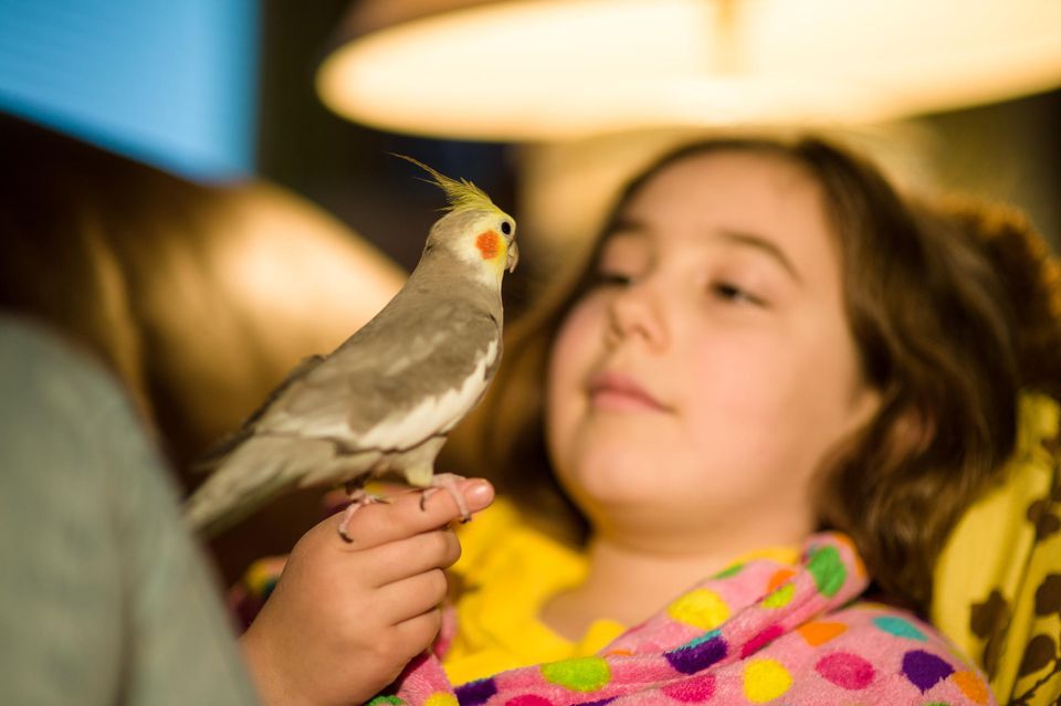 Girl holding cockatiel