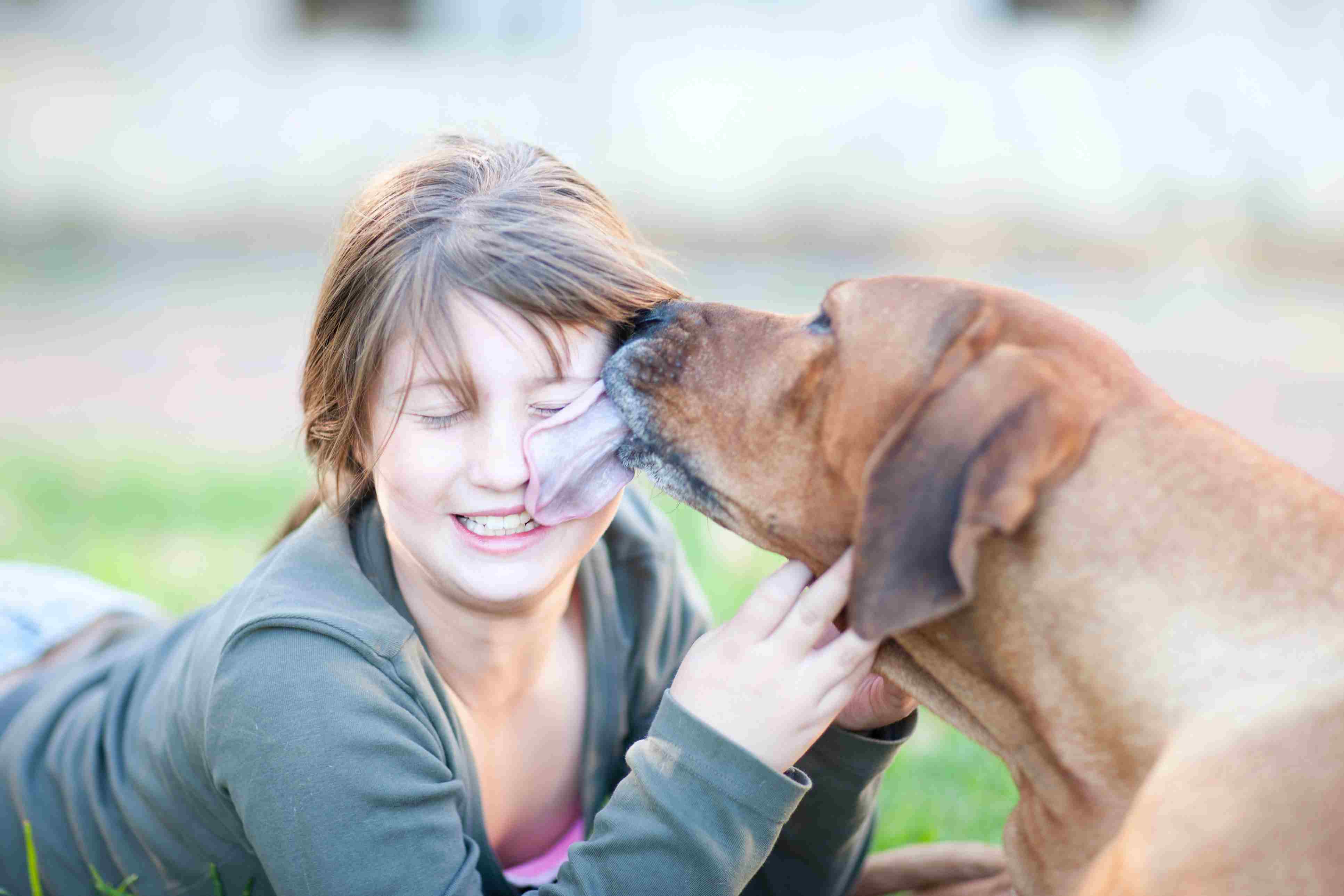 A dog licking a girl's face