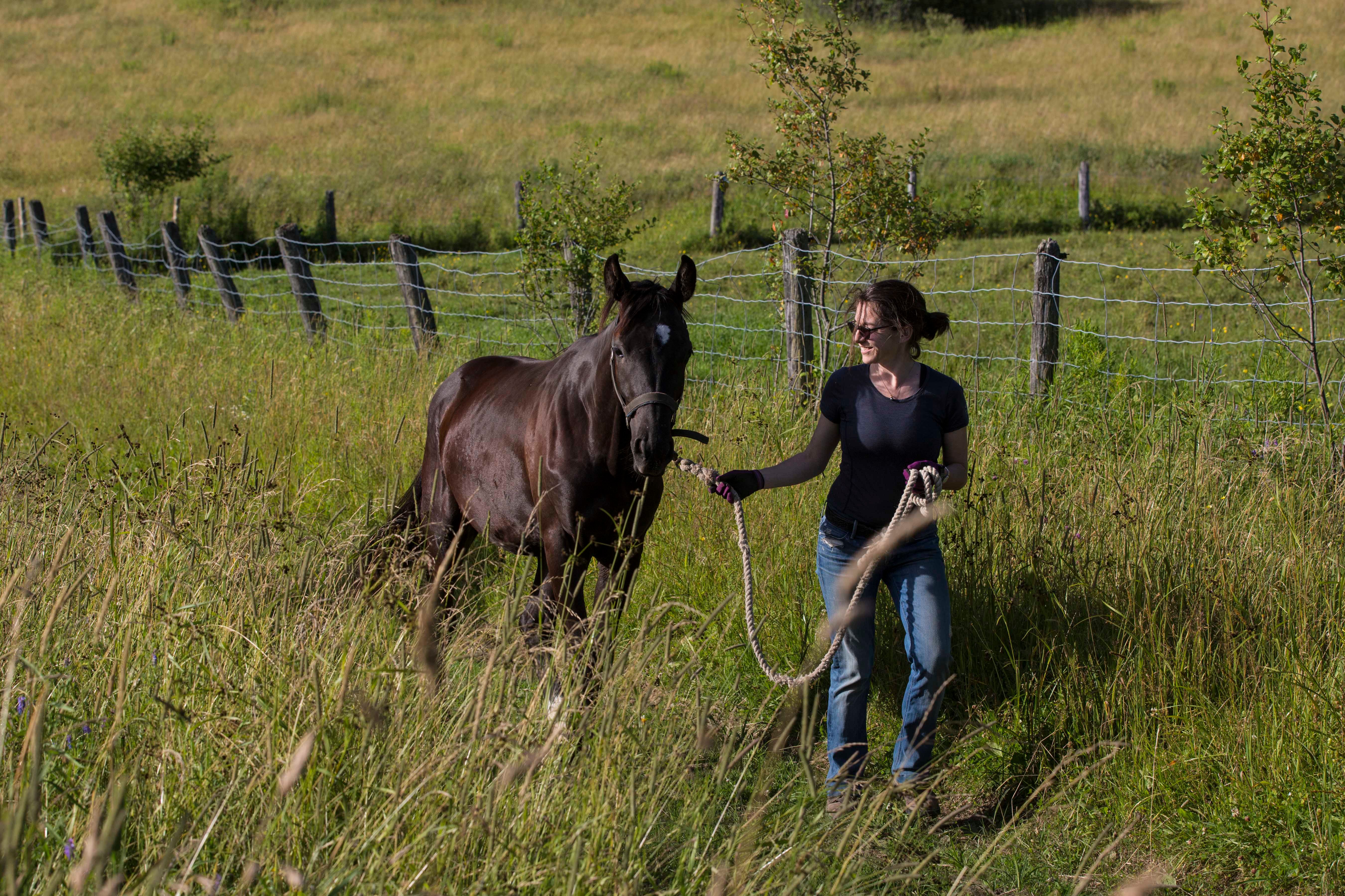 Woman walking horse on grassy field