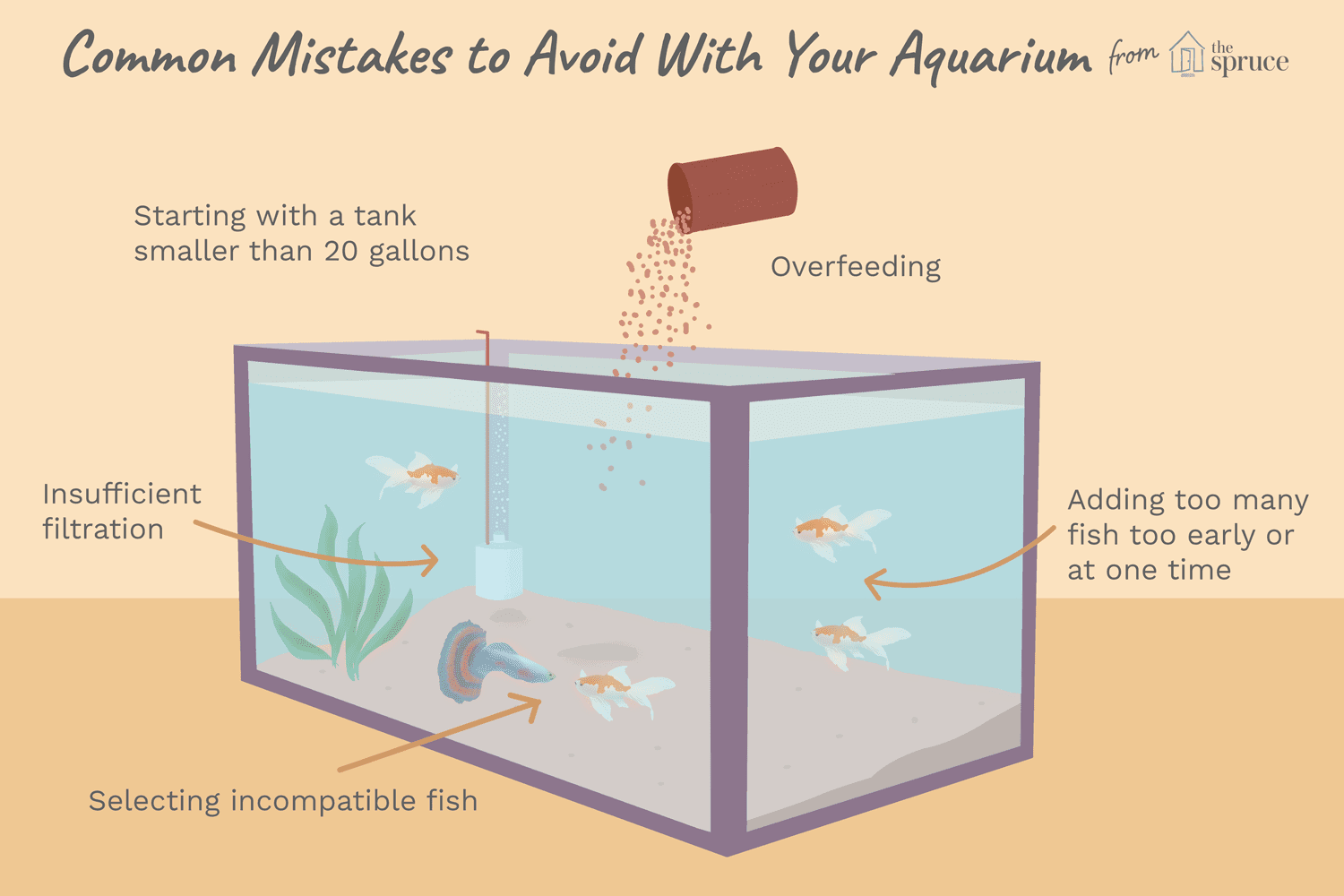 illustration of common mistakes to avoid with your aquarium