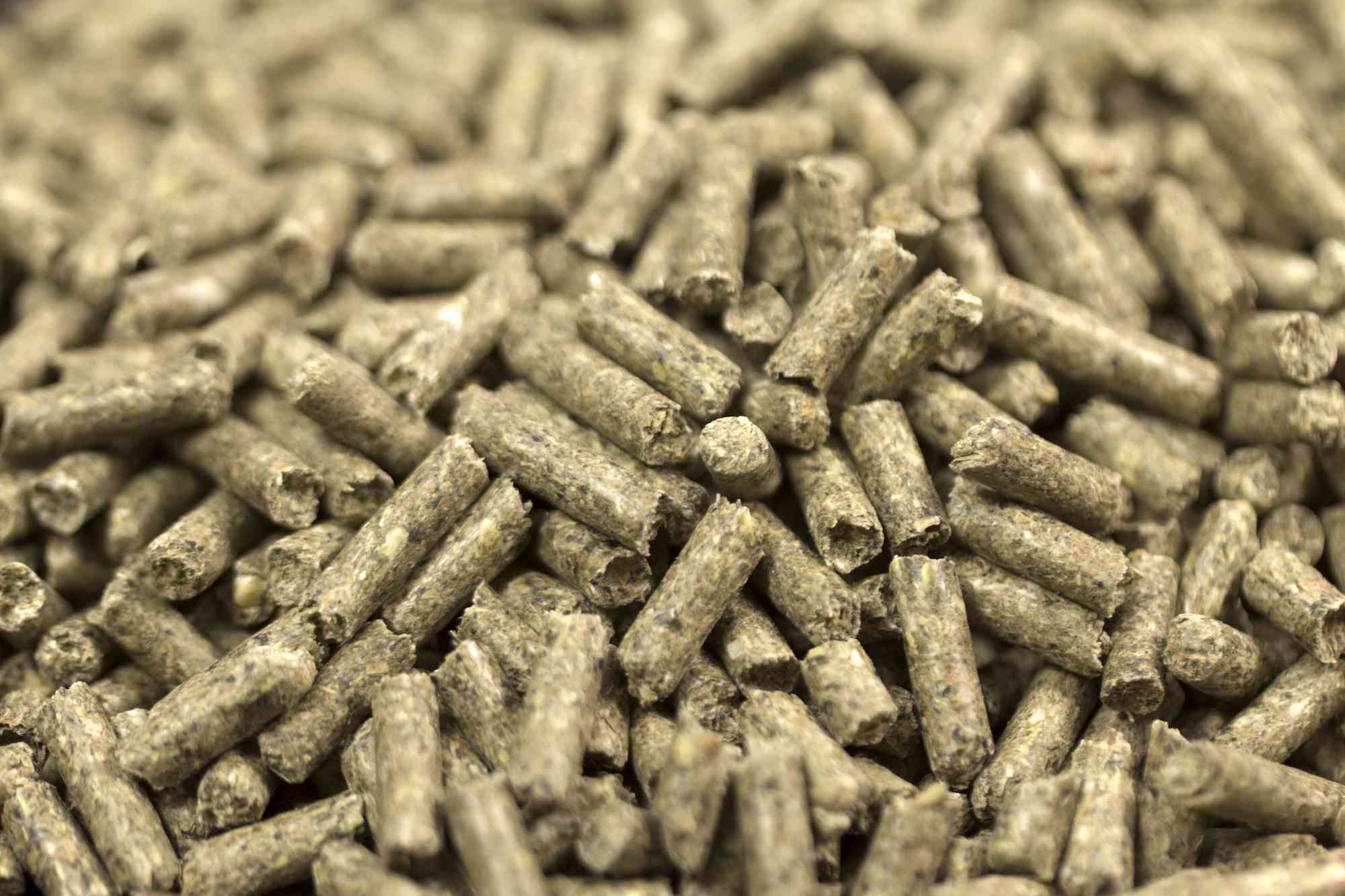 Rabbit pellets can be used to make your own infusoria at home