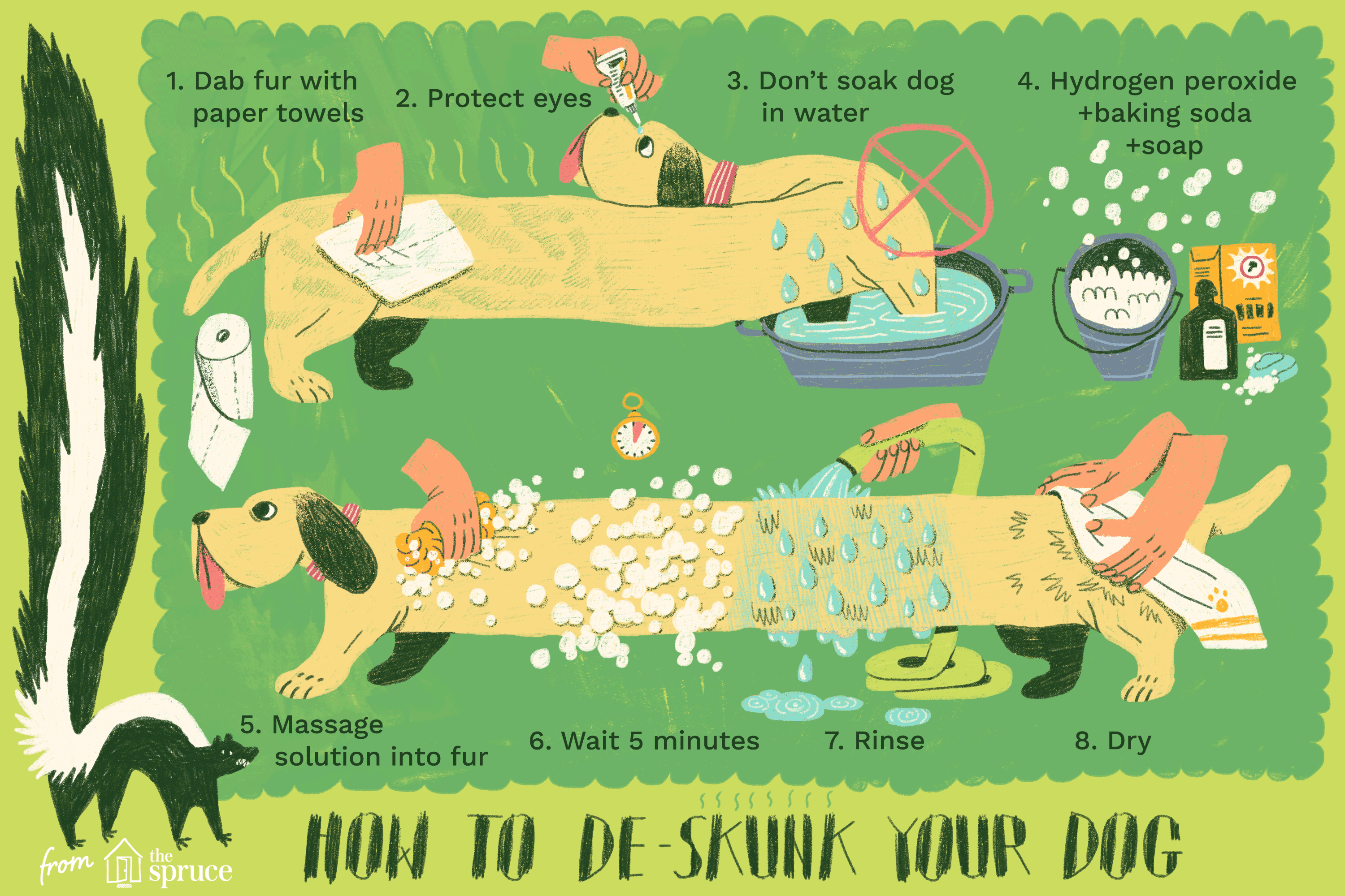 illustration of how to deskunk your dog