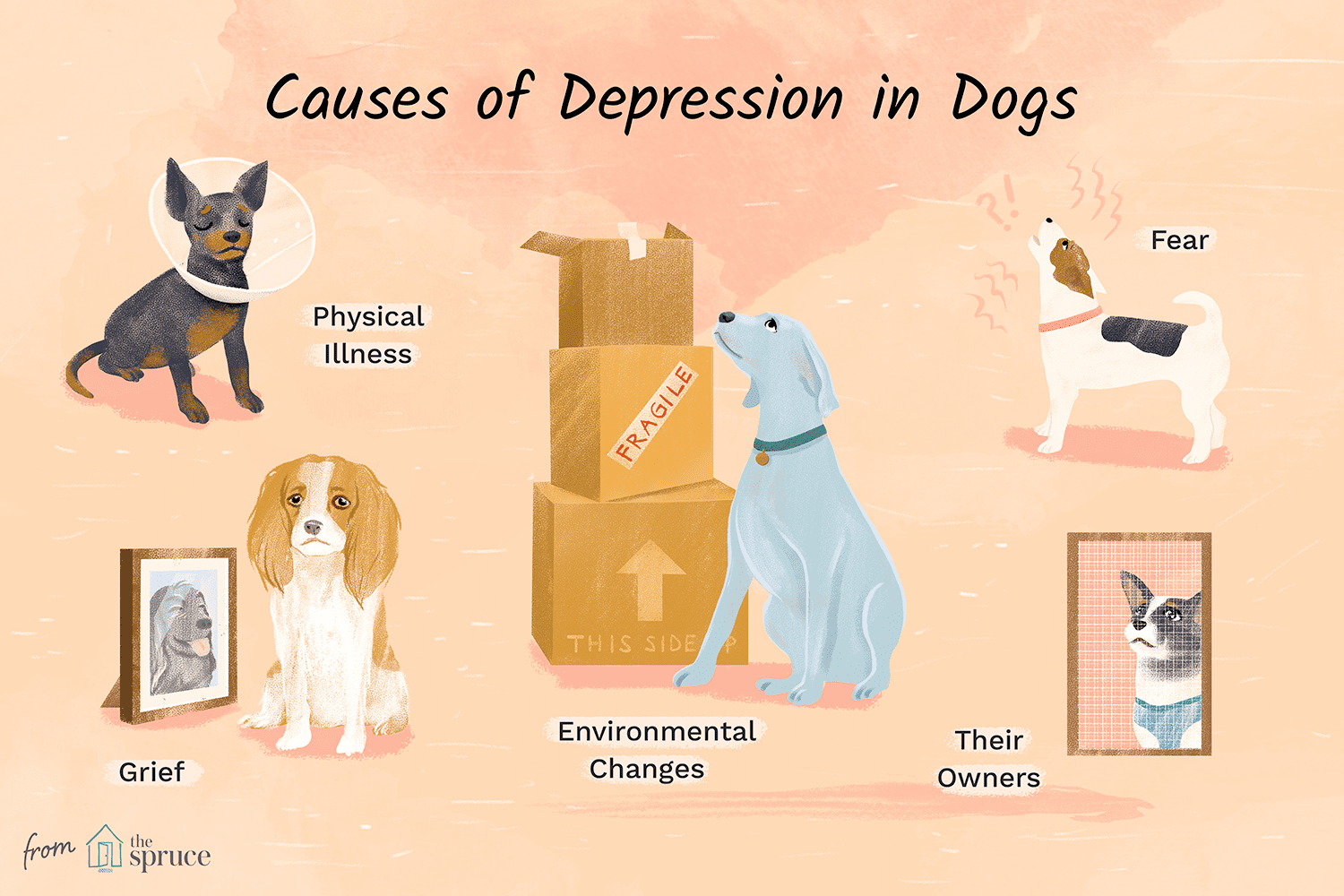 causes of depression in dogs