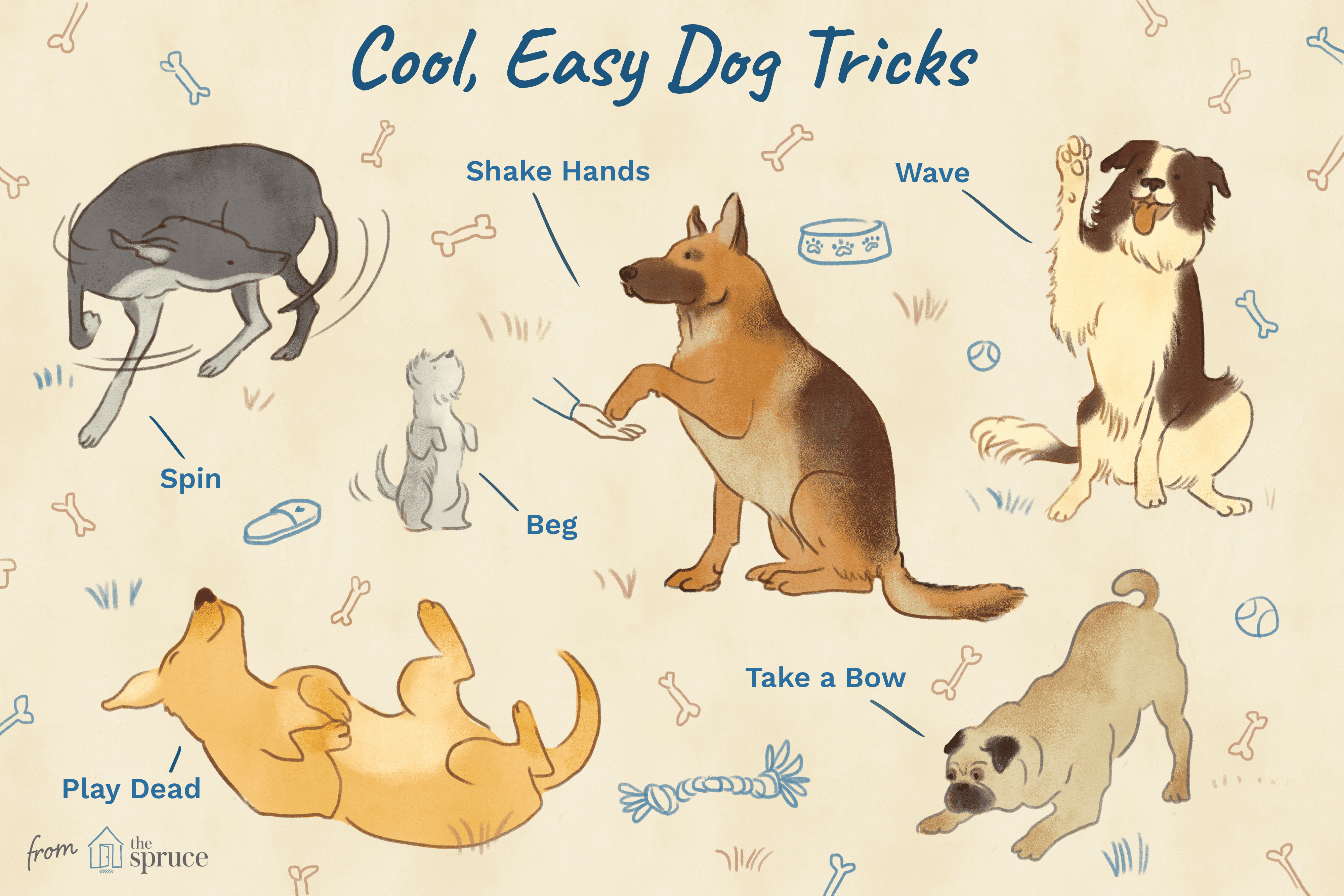 Illustration of dogs doing tricks