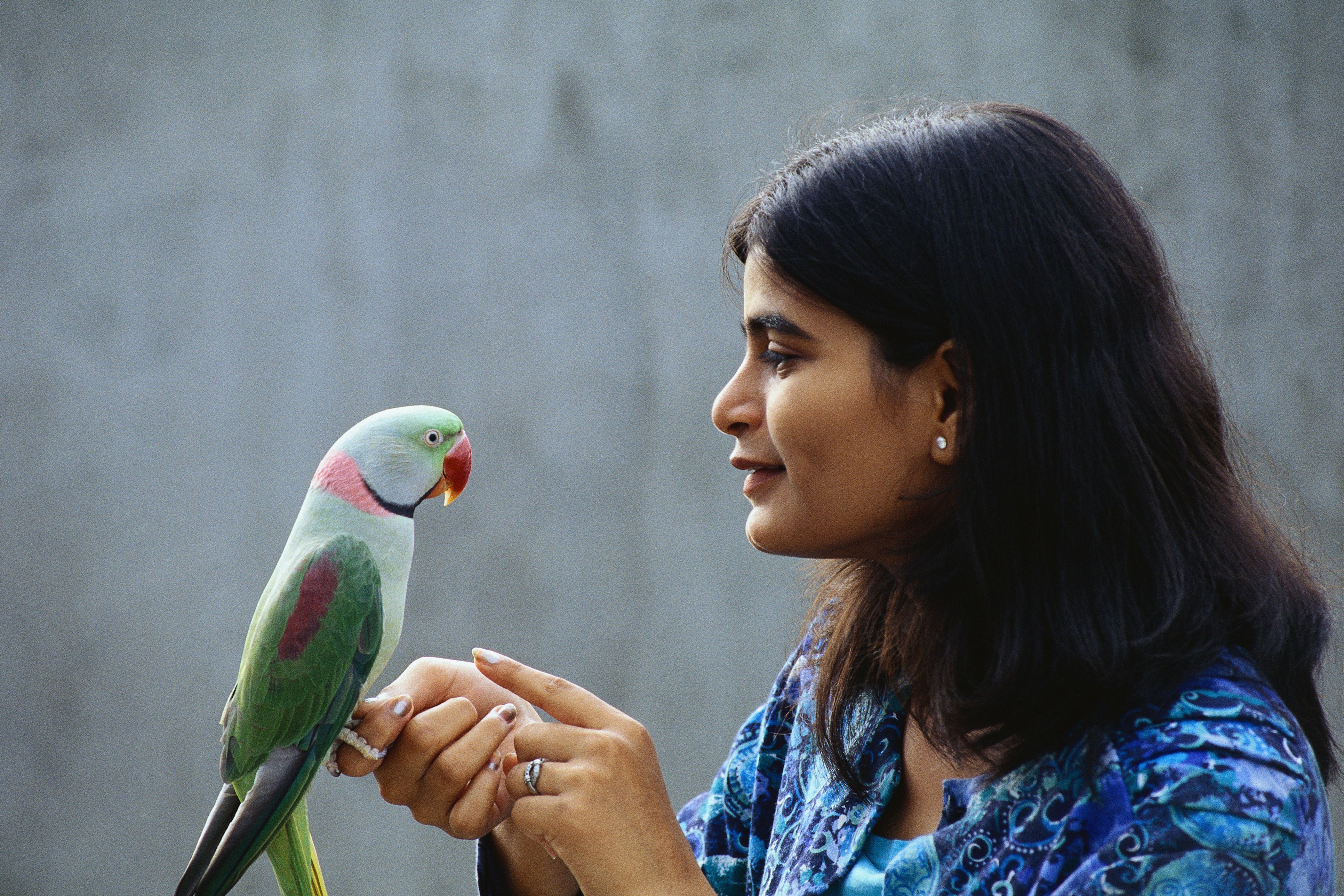 Woman Holding Parrot