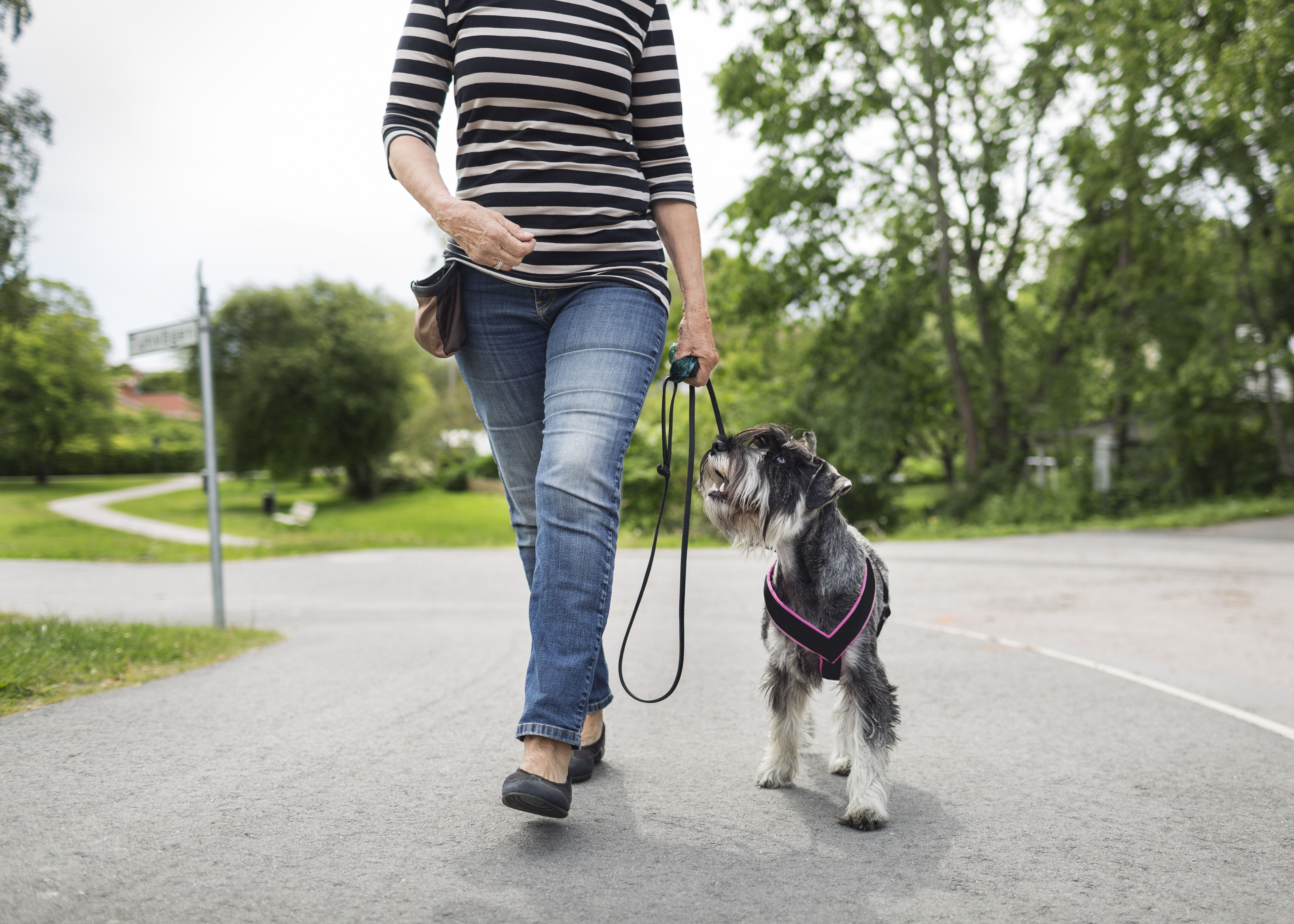 Woman walking down a road with a dog on a leash.