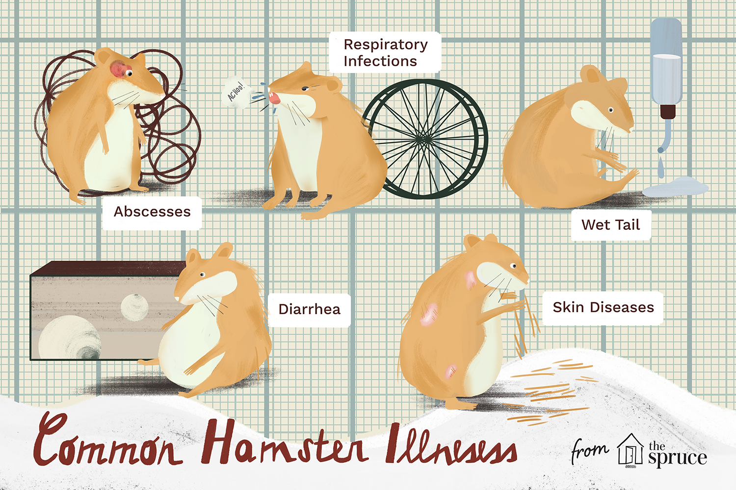 common hamster illnesses